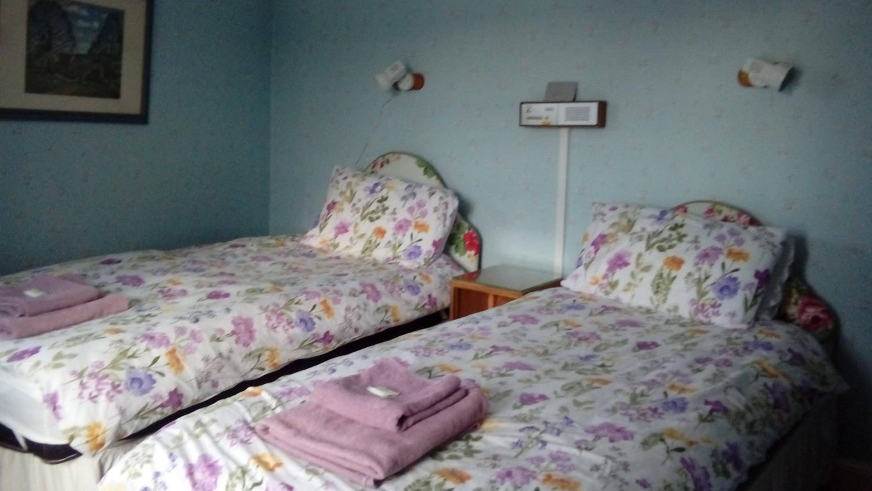Double or Twin Room photo 1
