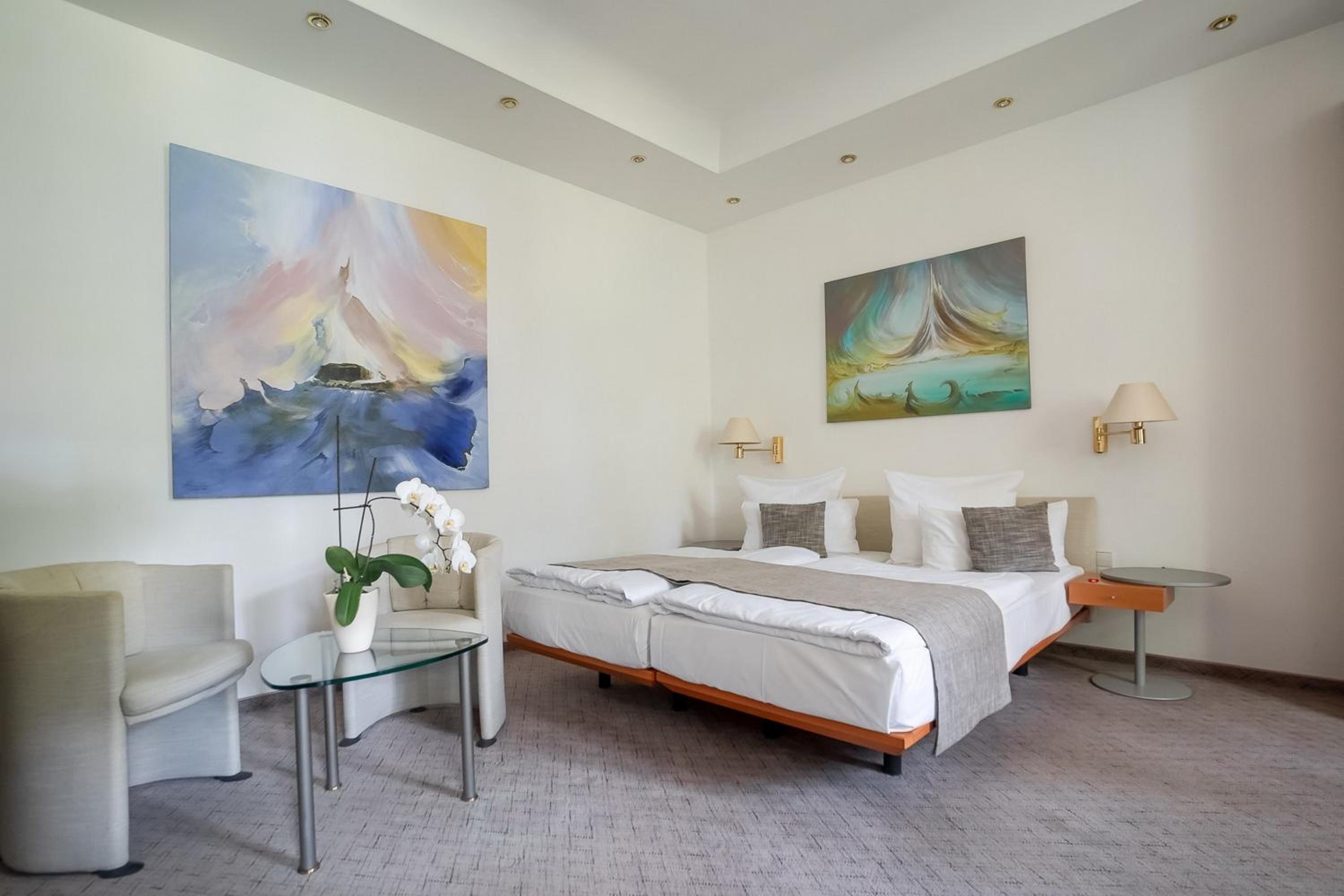 Superior Single Room photo 3