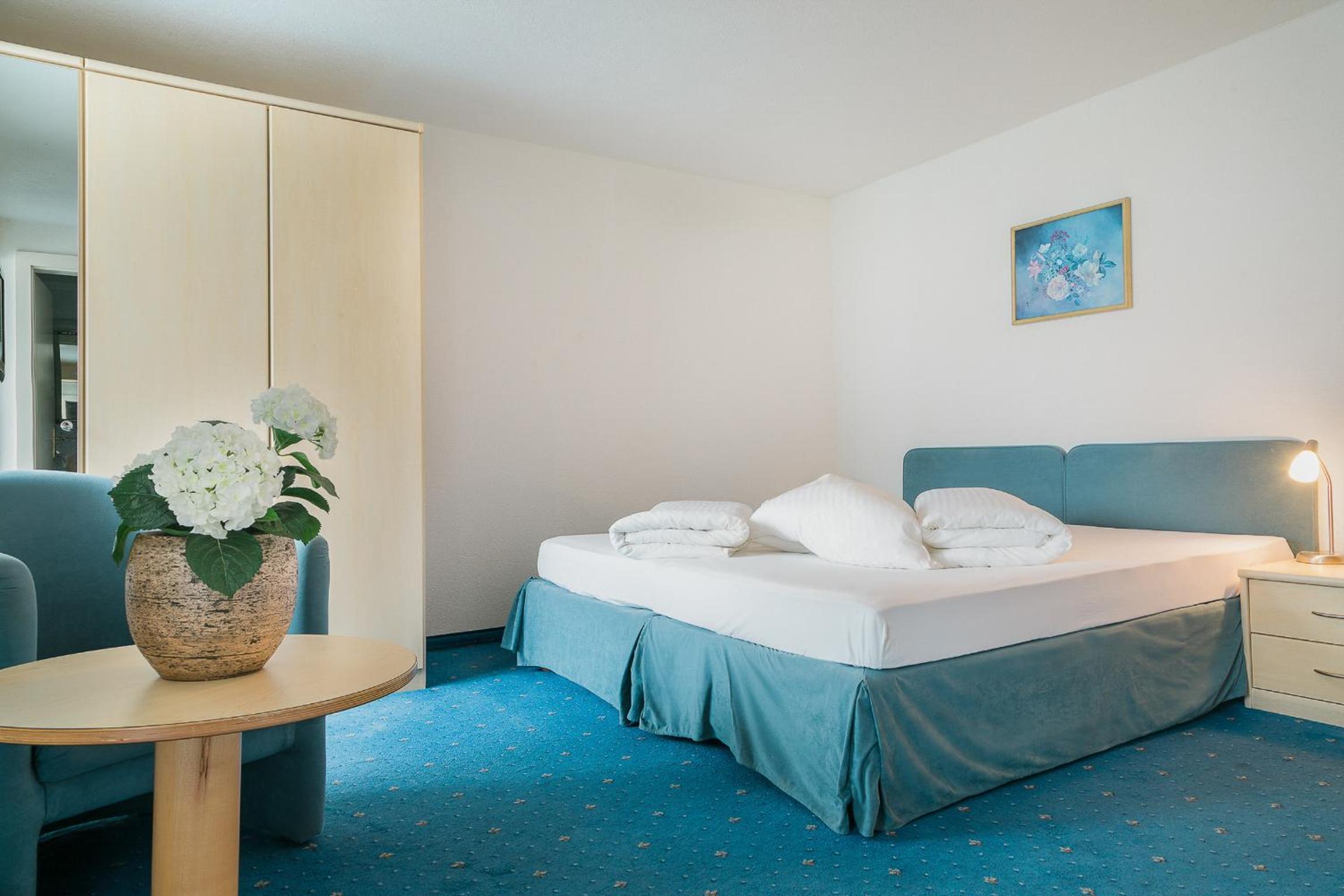 Double Room with Mountain View photo 3