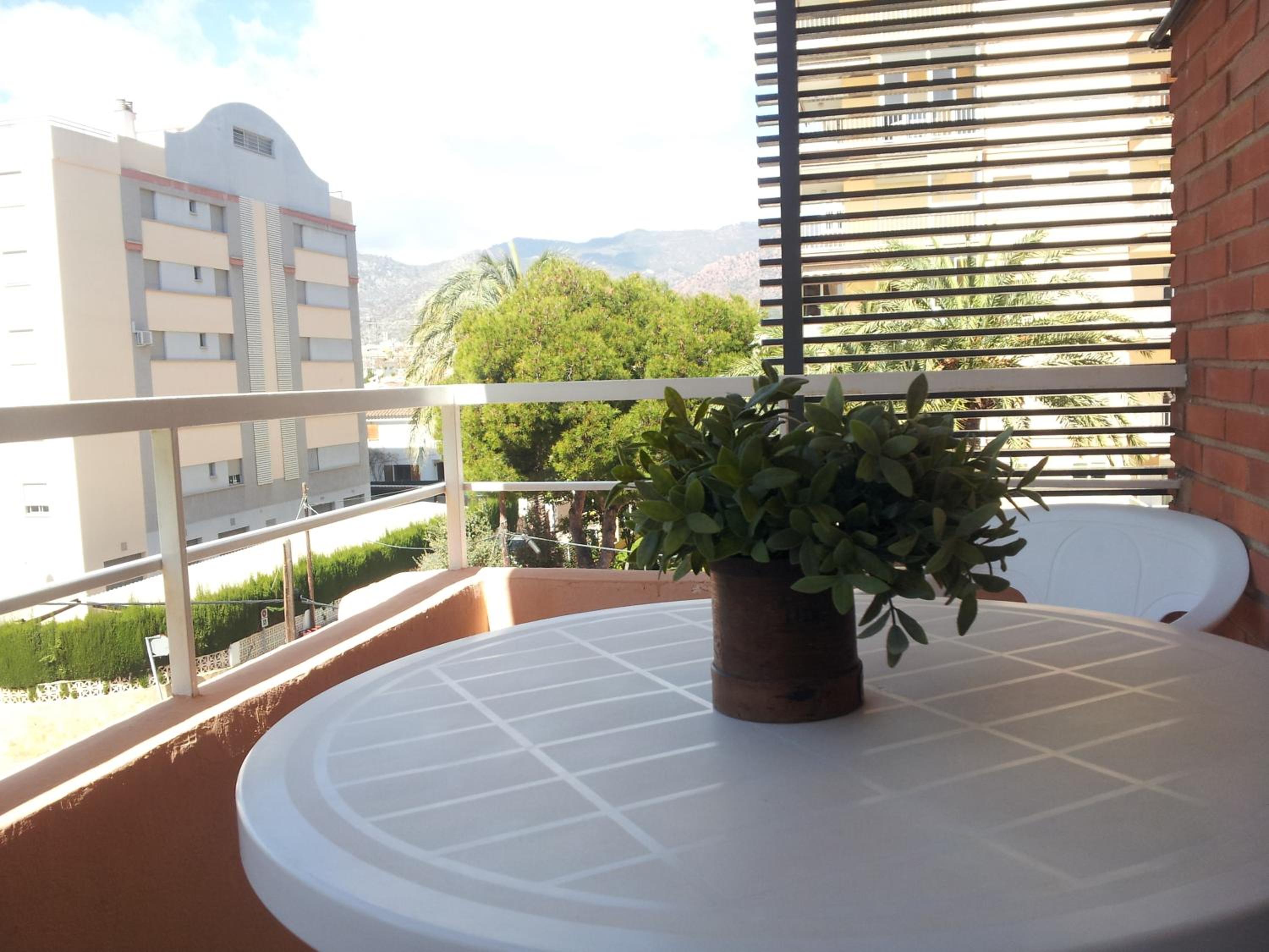 Single Room with Terrace photo 2