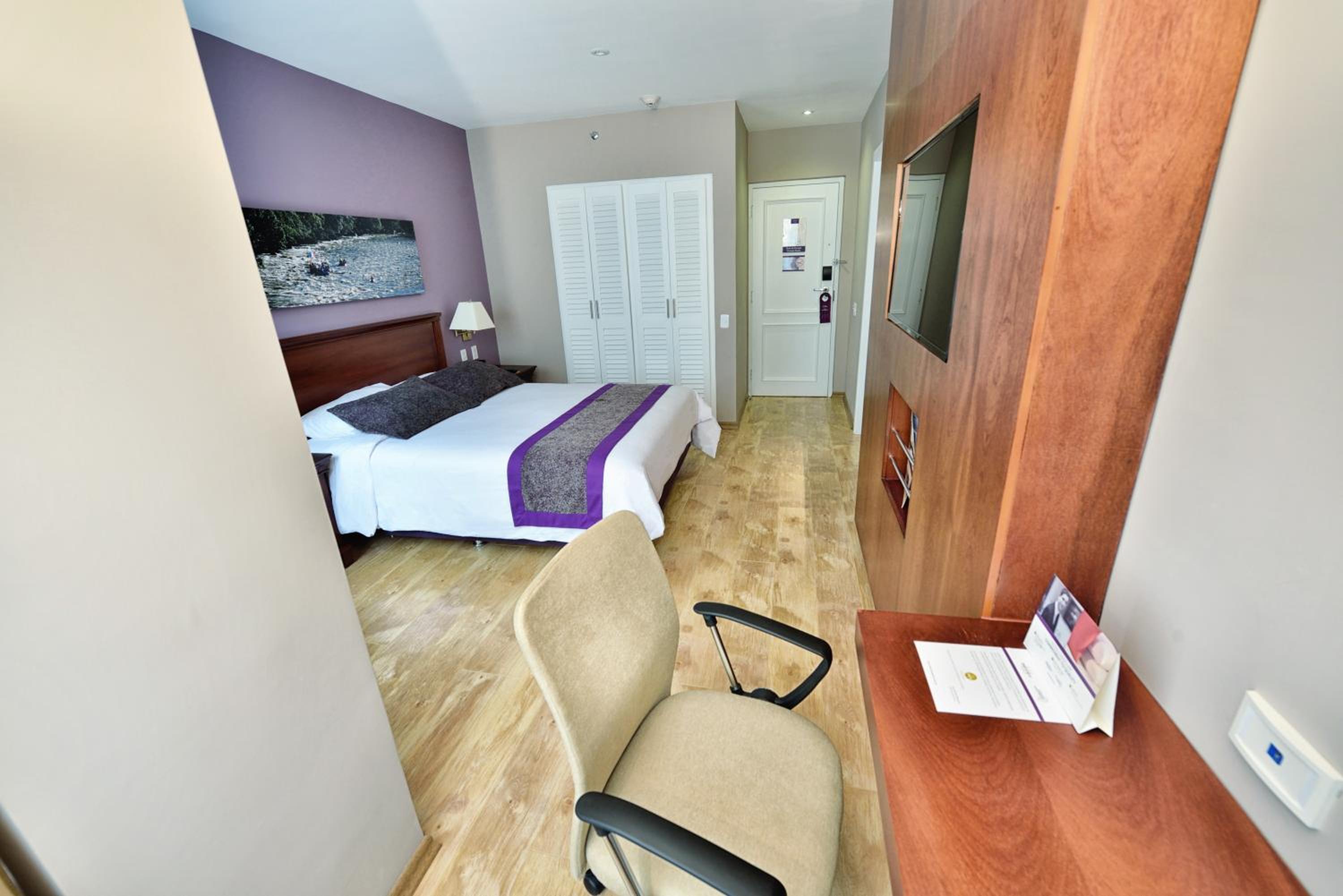 Superior King Room with One King Bed - Photo 27