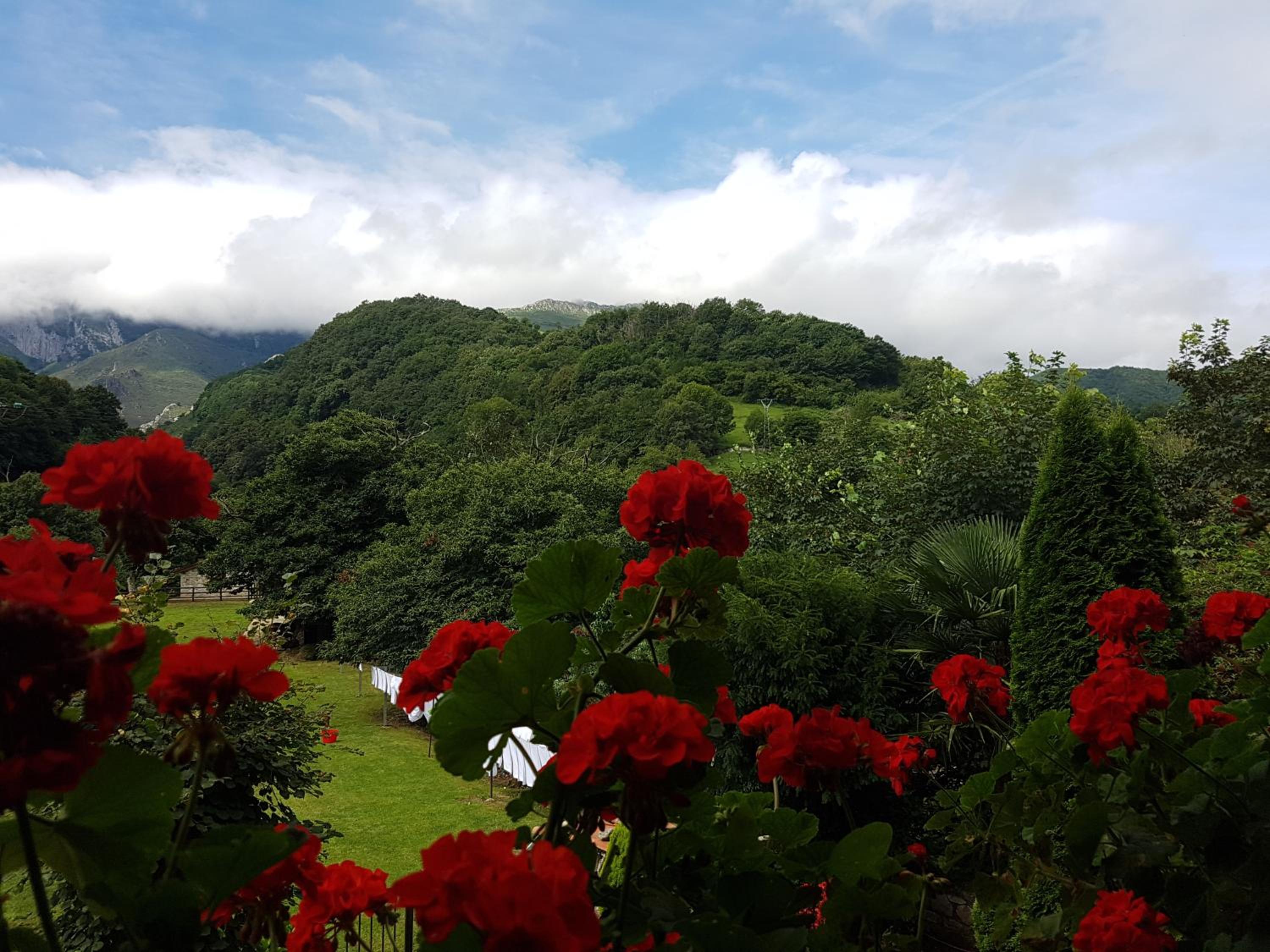 Double Room with Mountain View - Photo 2