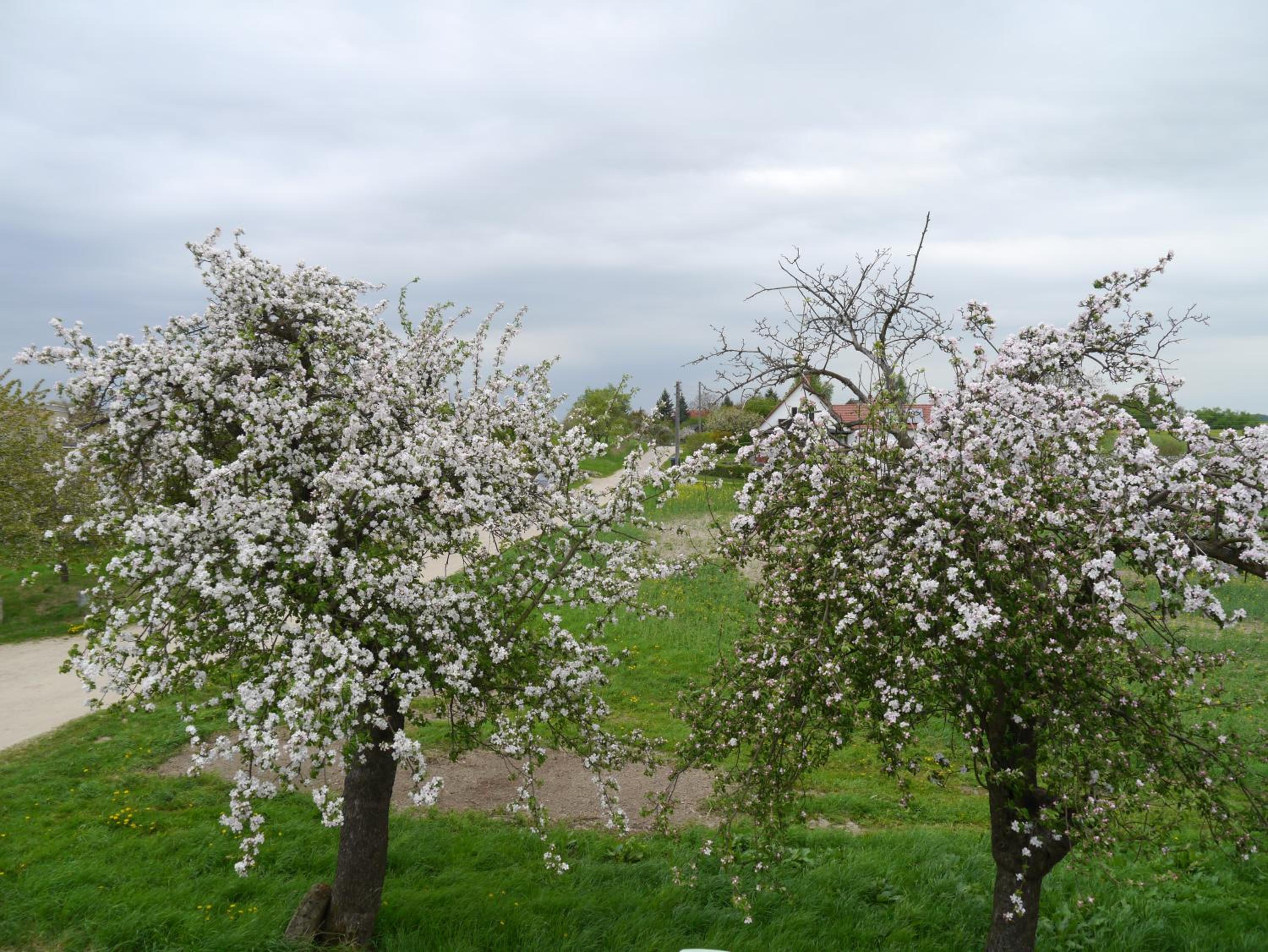 Ferienhaus-Uckermarkblick, Bild 14