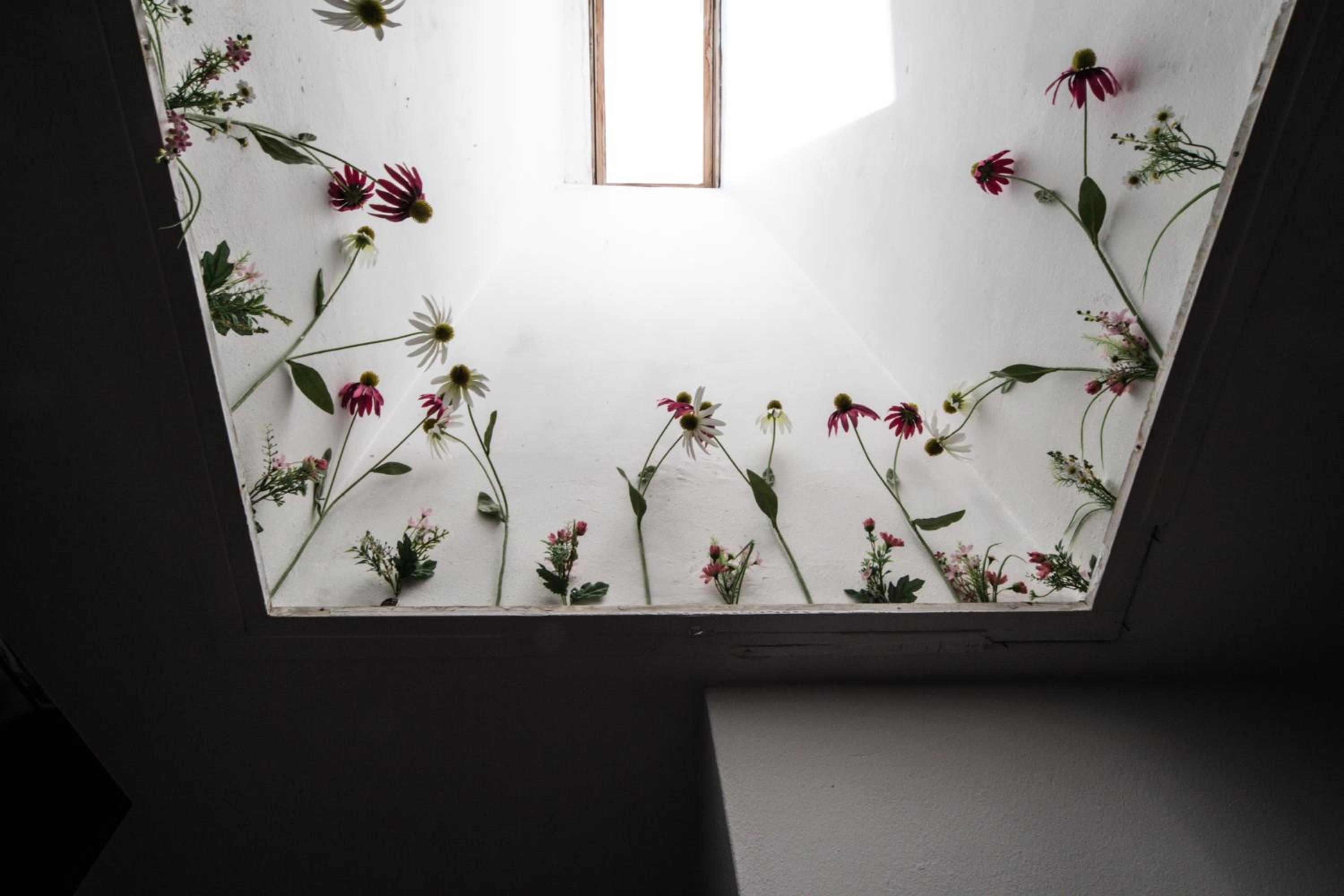 Small Single Room photo 2