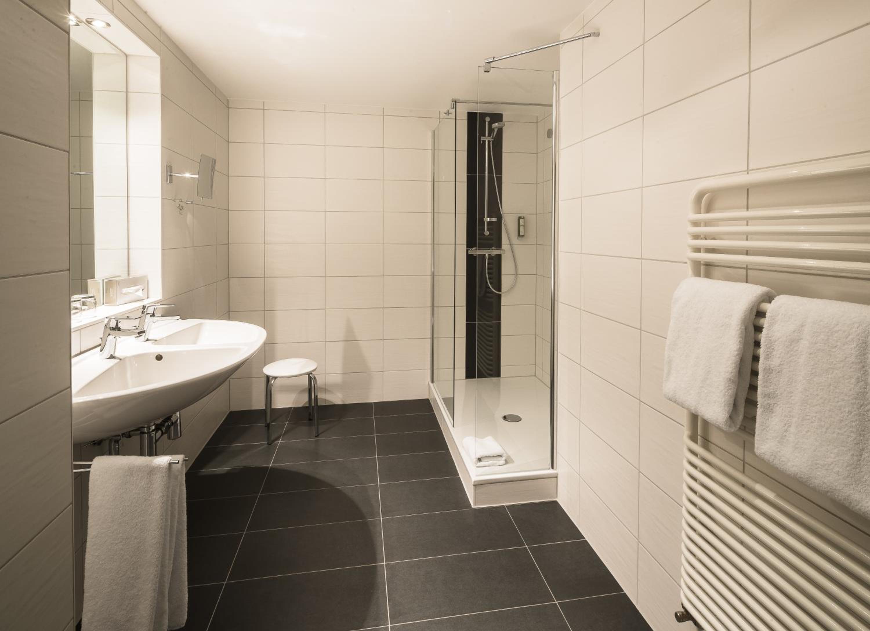 Large Double Room photo 3