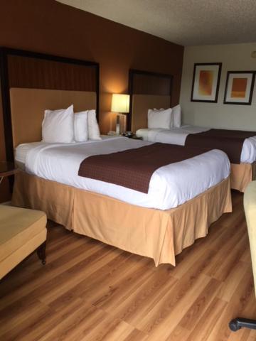 Double Room with Two Double Beds - Smoking