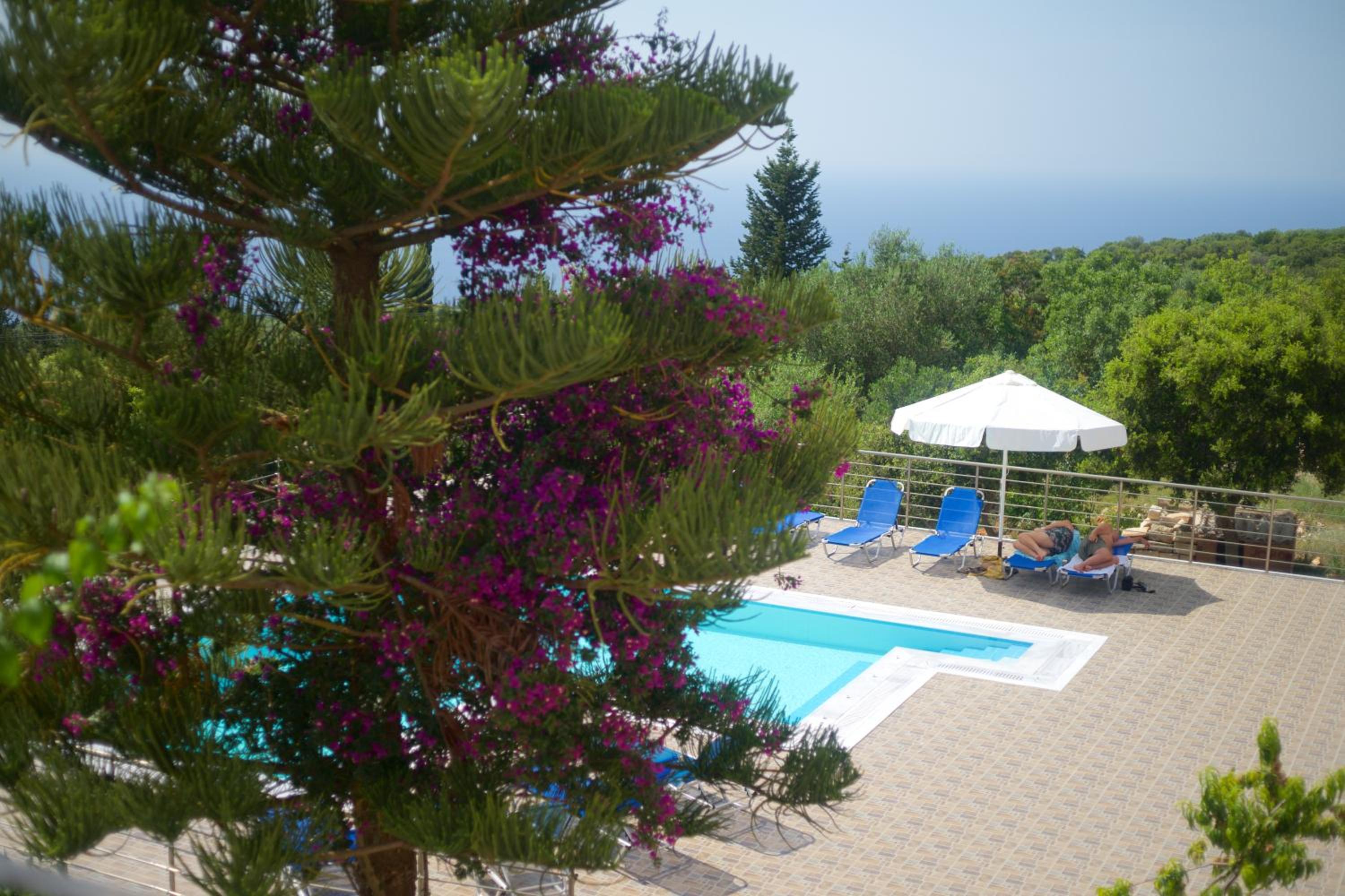 Studio with Sea View (3 Adults) photo 3