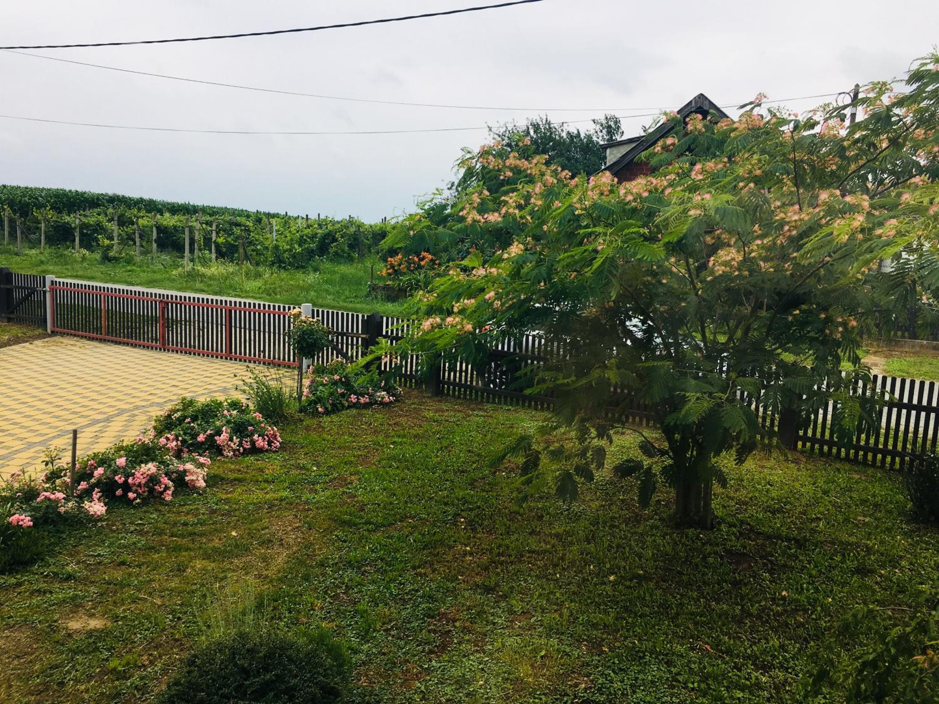 Vacation Home - Photo 21