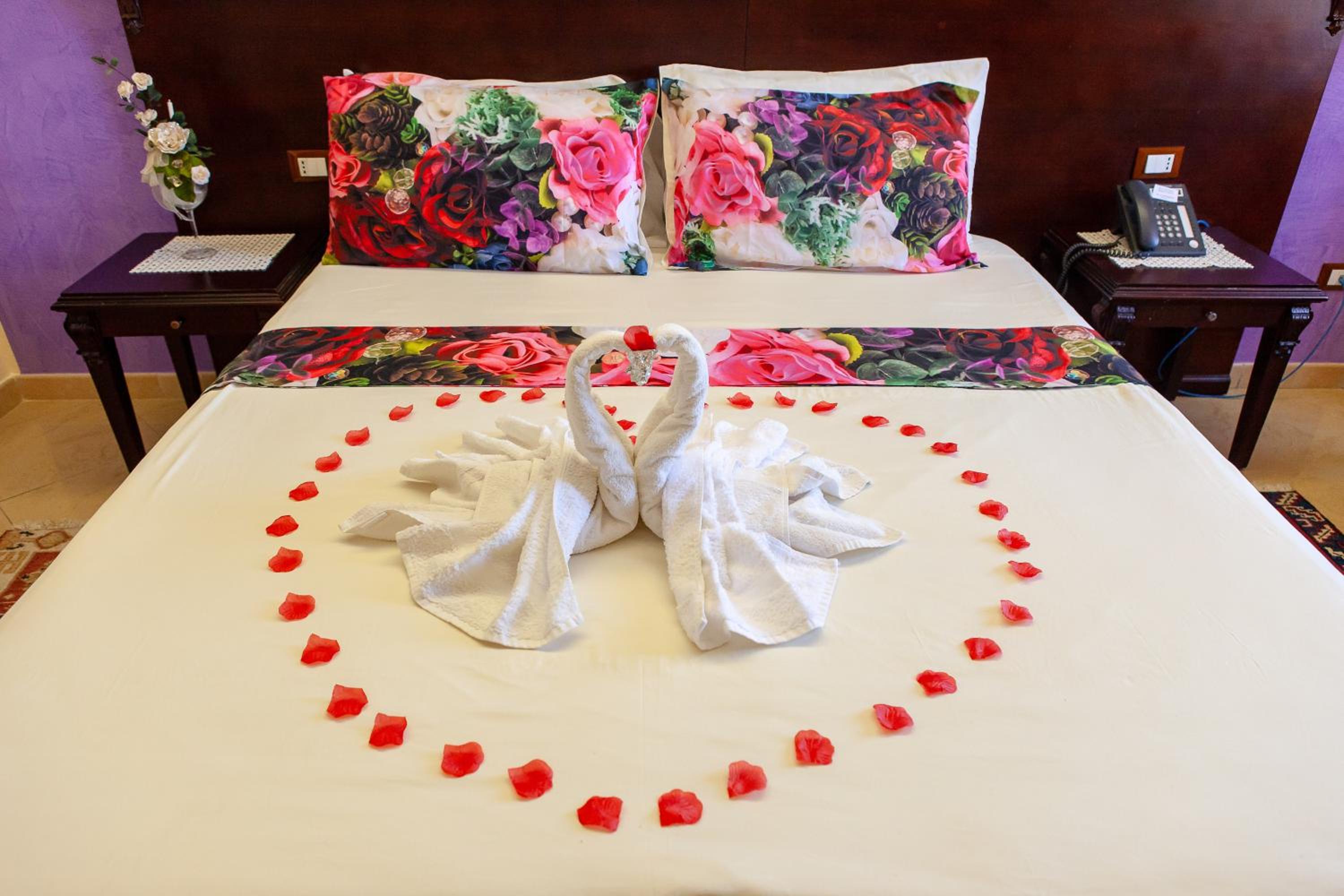 Double or Twin Room photo 3
