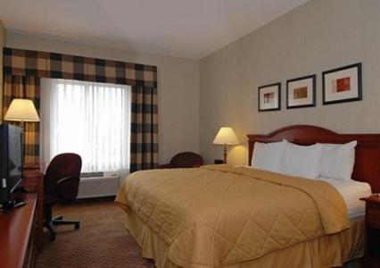 King Room - Non-Smoking - Photo 4
