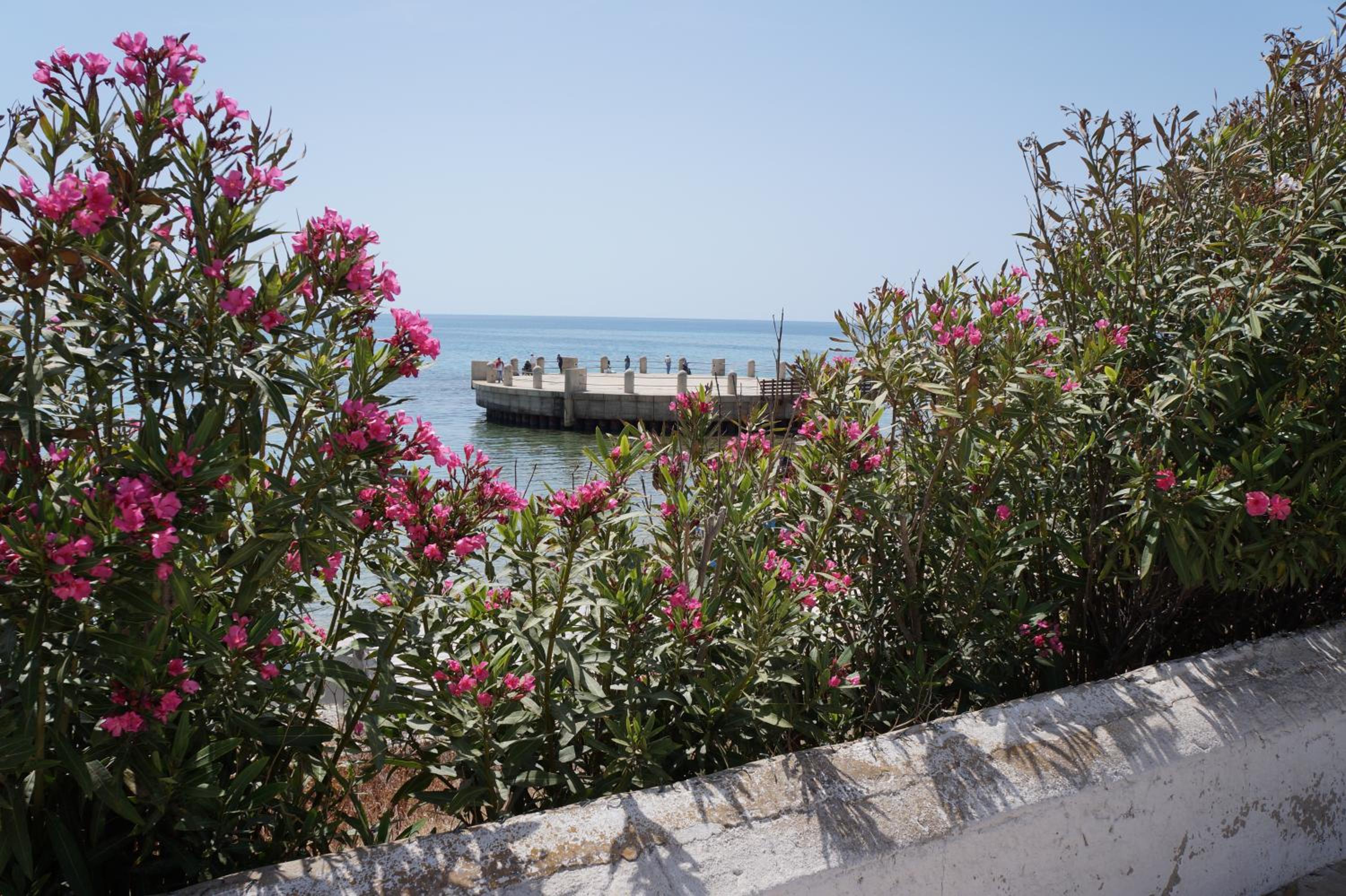 Villa with Sea View - Photo 15