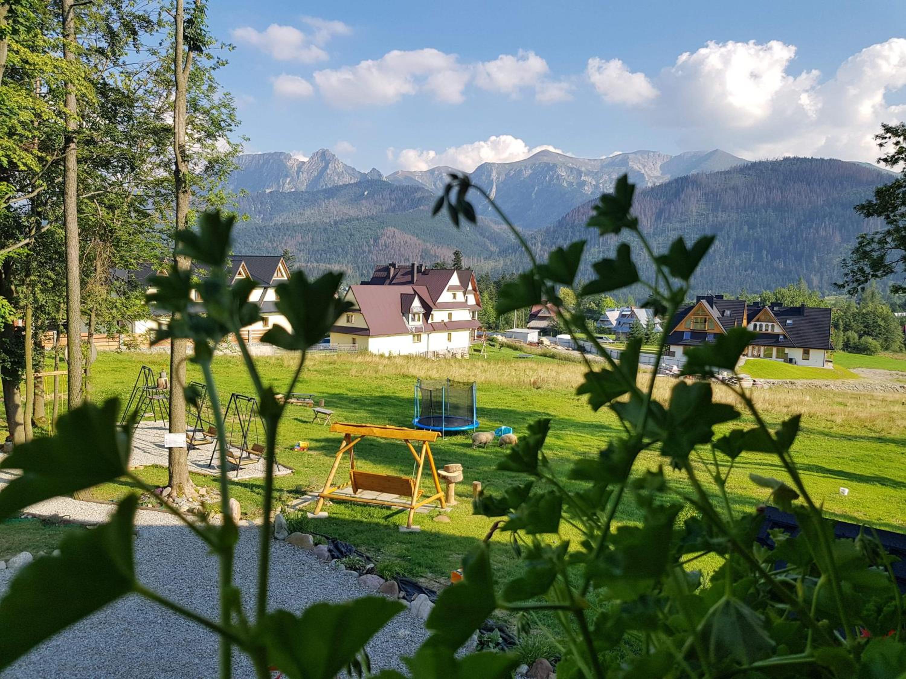 Room with Mountain View