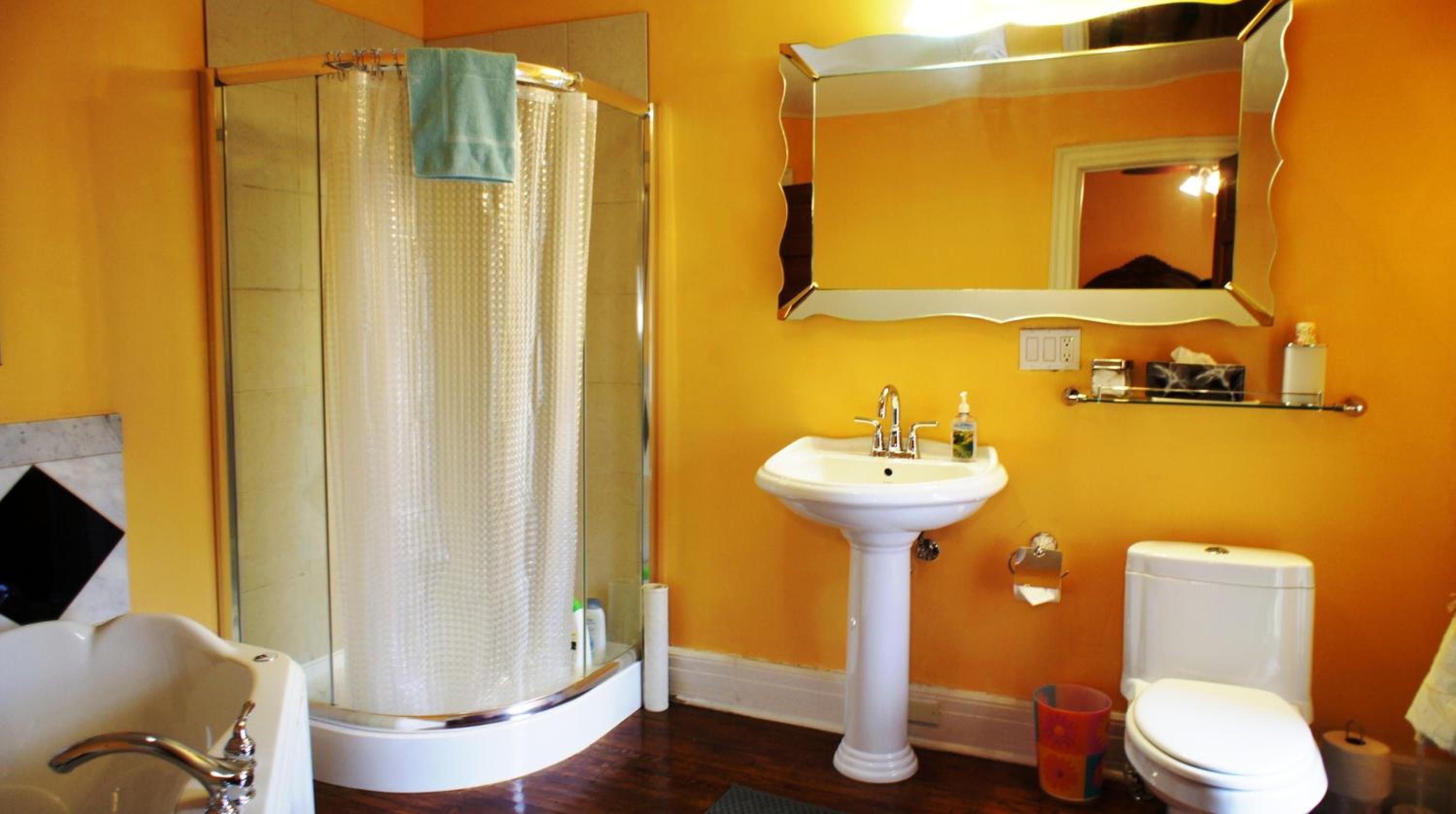 King Suite with Spa Bath photo 3