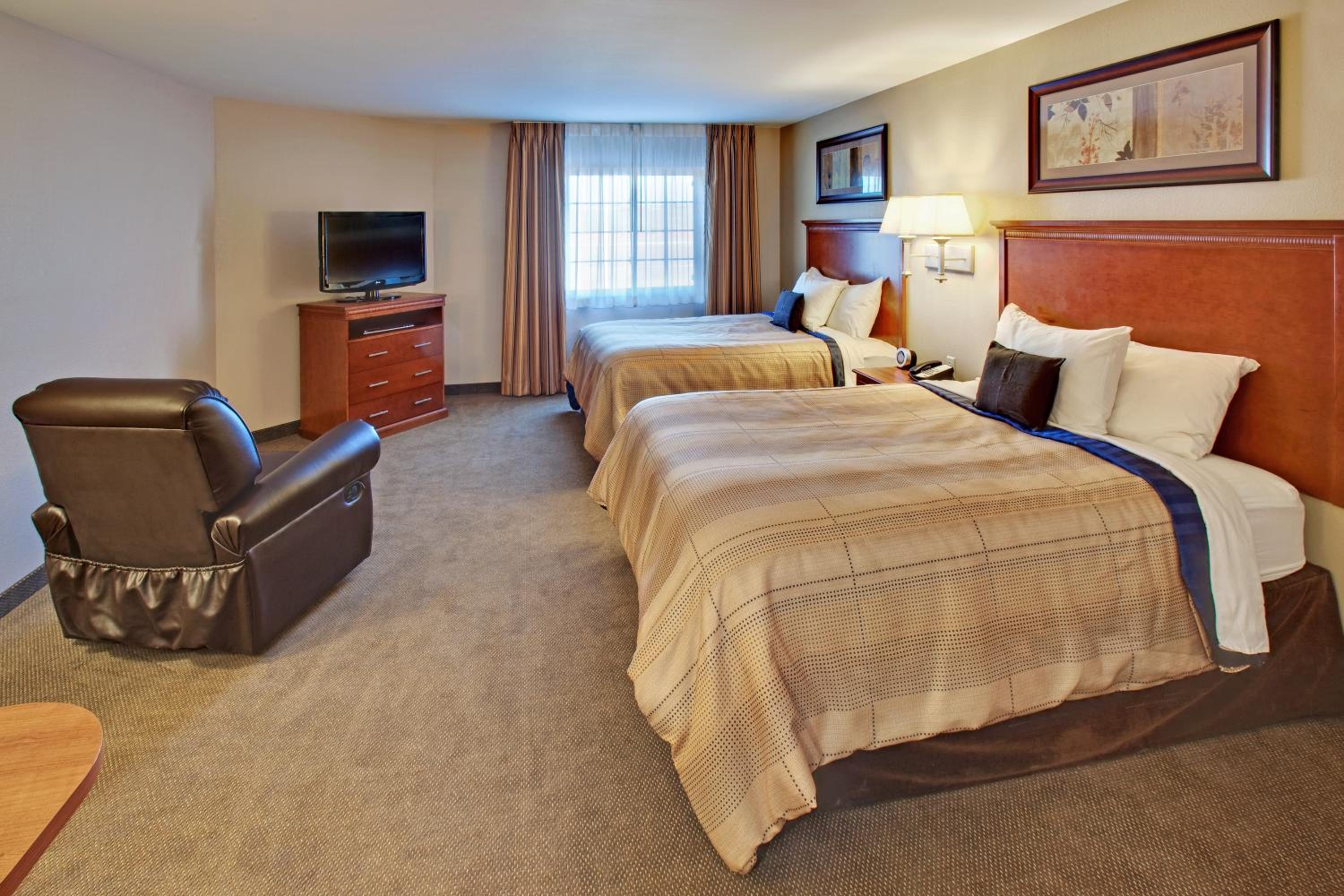 Studio Suite - Photo 1