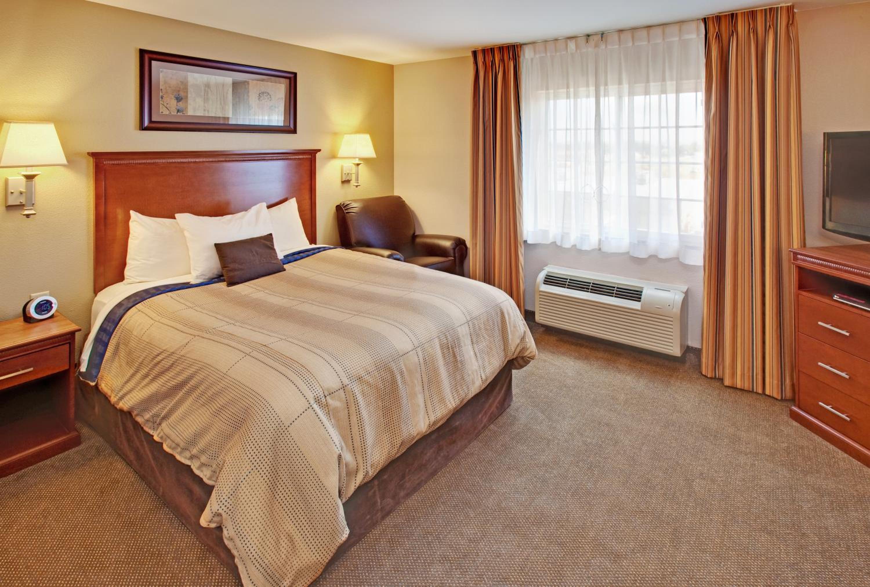 Studio Suite - Photo 4