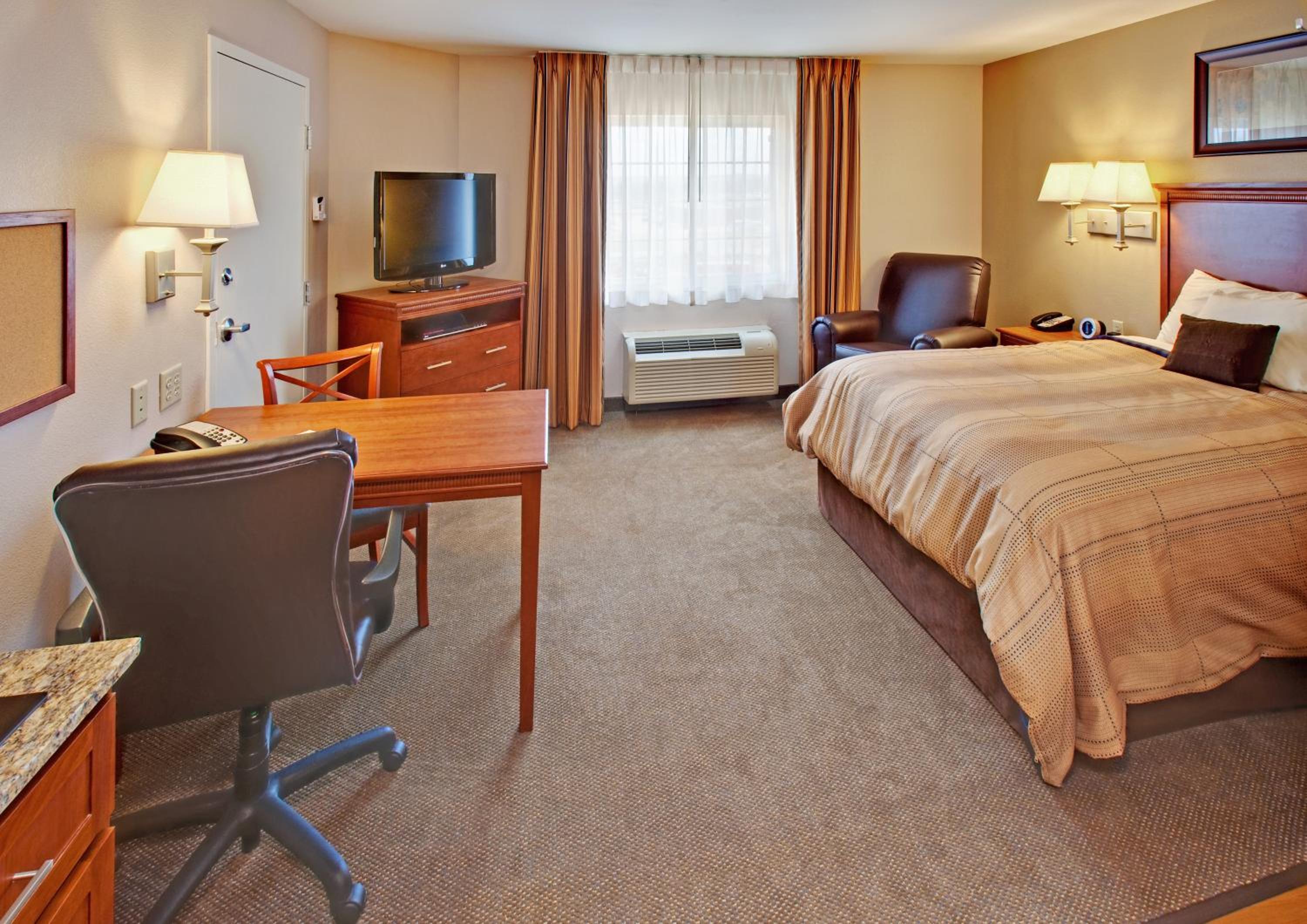 Studio Suite - Photo 3