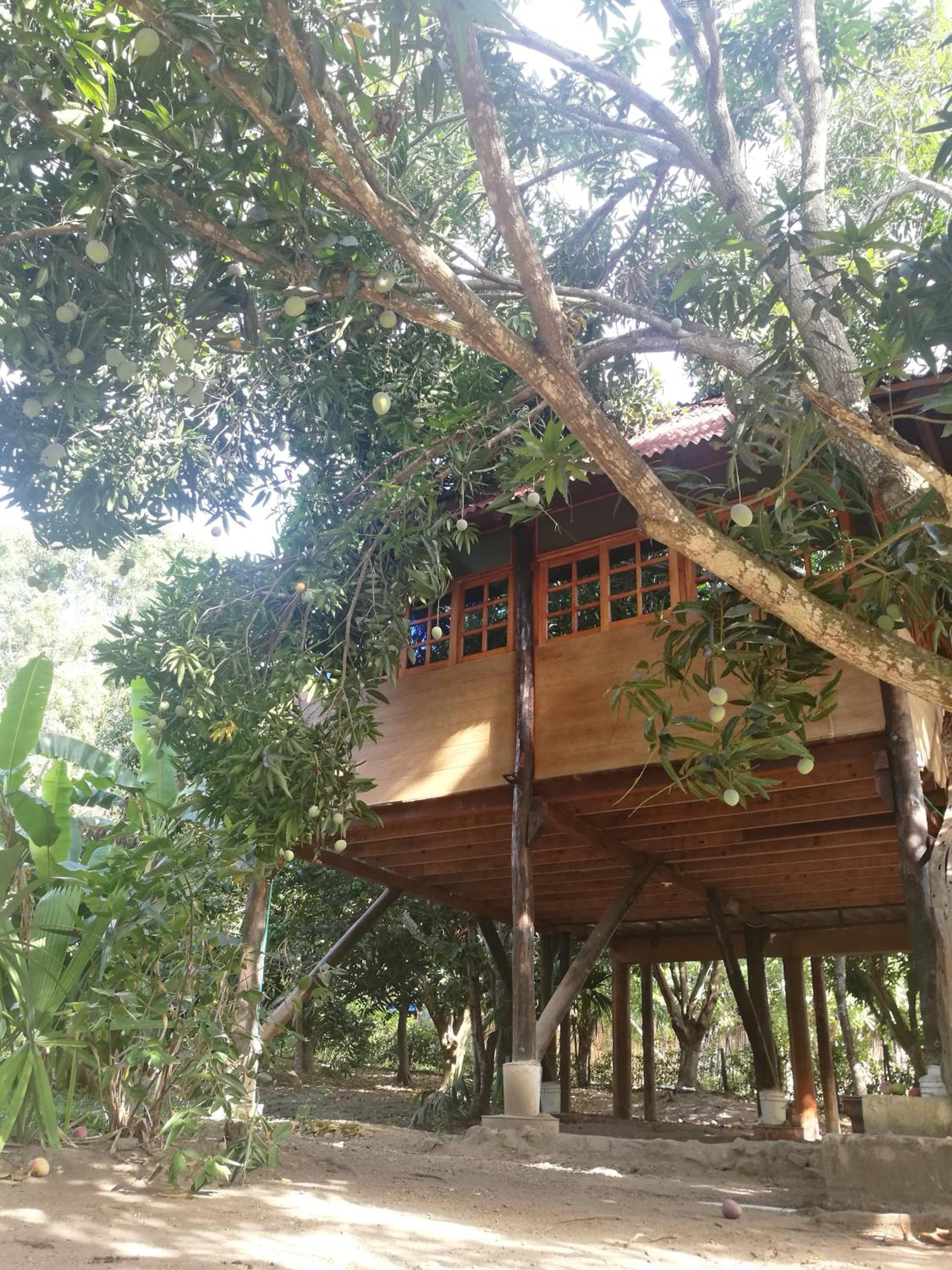 Apartment with Balcony photo 3