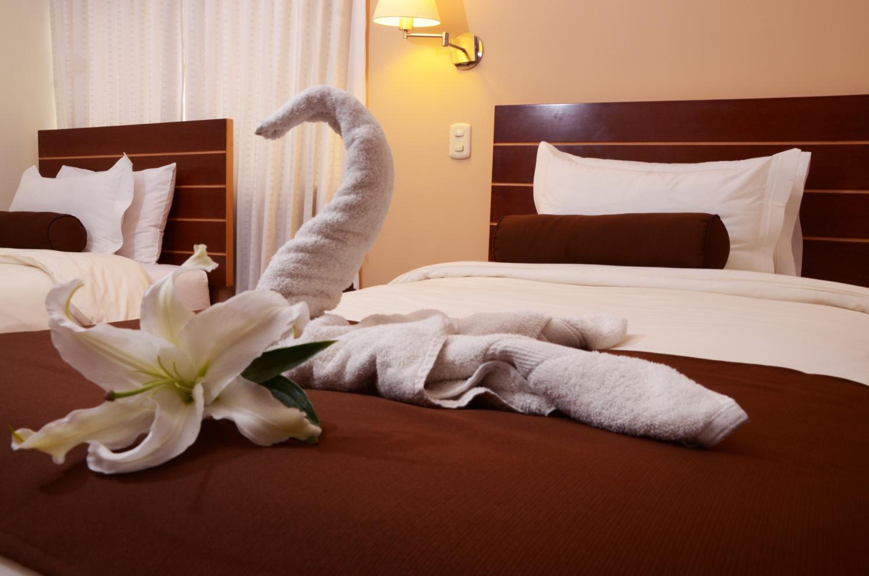 Twin Room - Photo 6