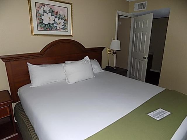 2 Bedroom Suite with Kitchenette photo 1