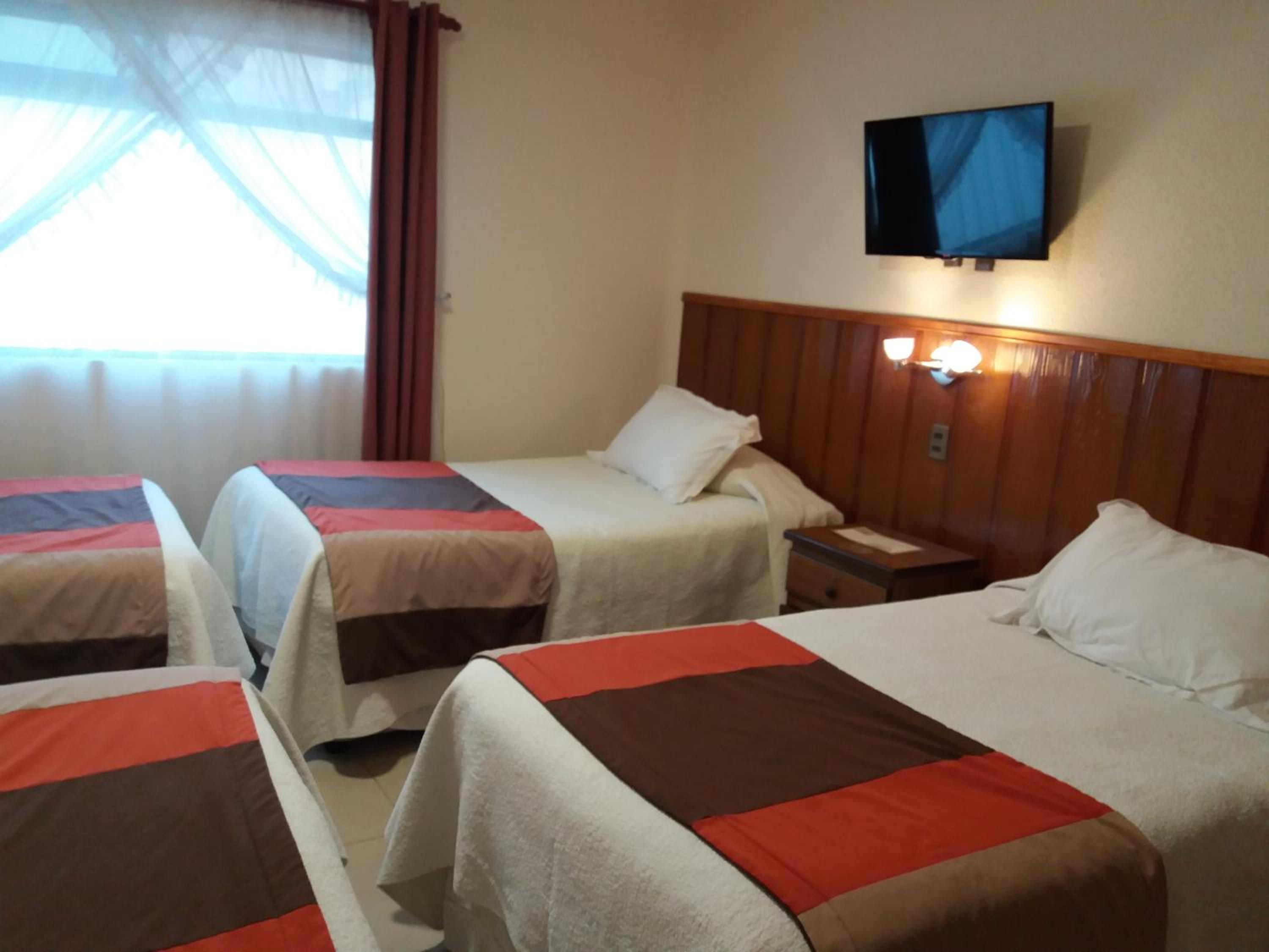 Premium Quadruple Room photo 1