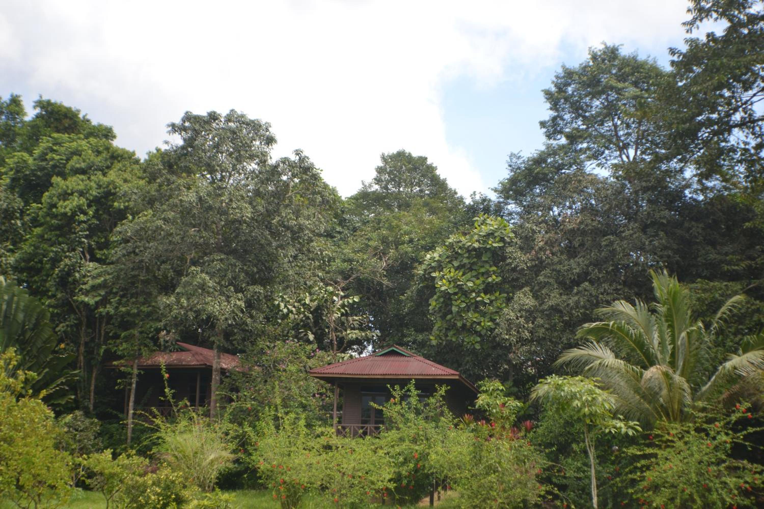 Standard Twin Chalet