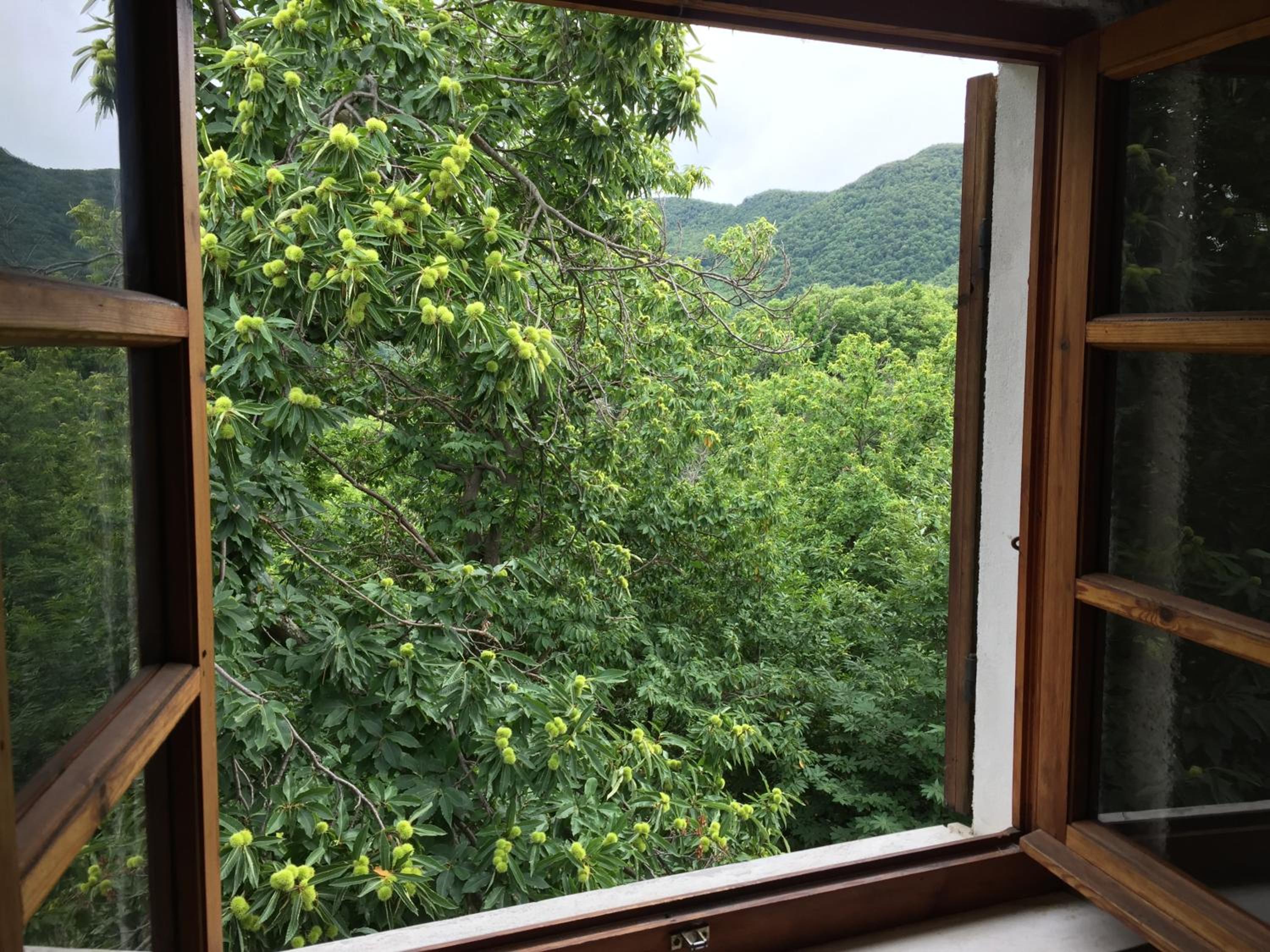 Vacation Home - Photo 28
