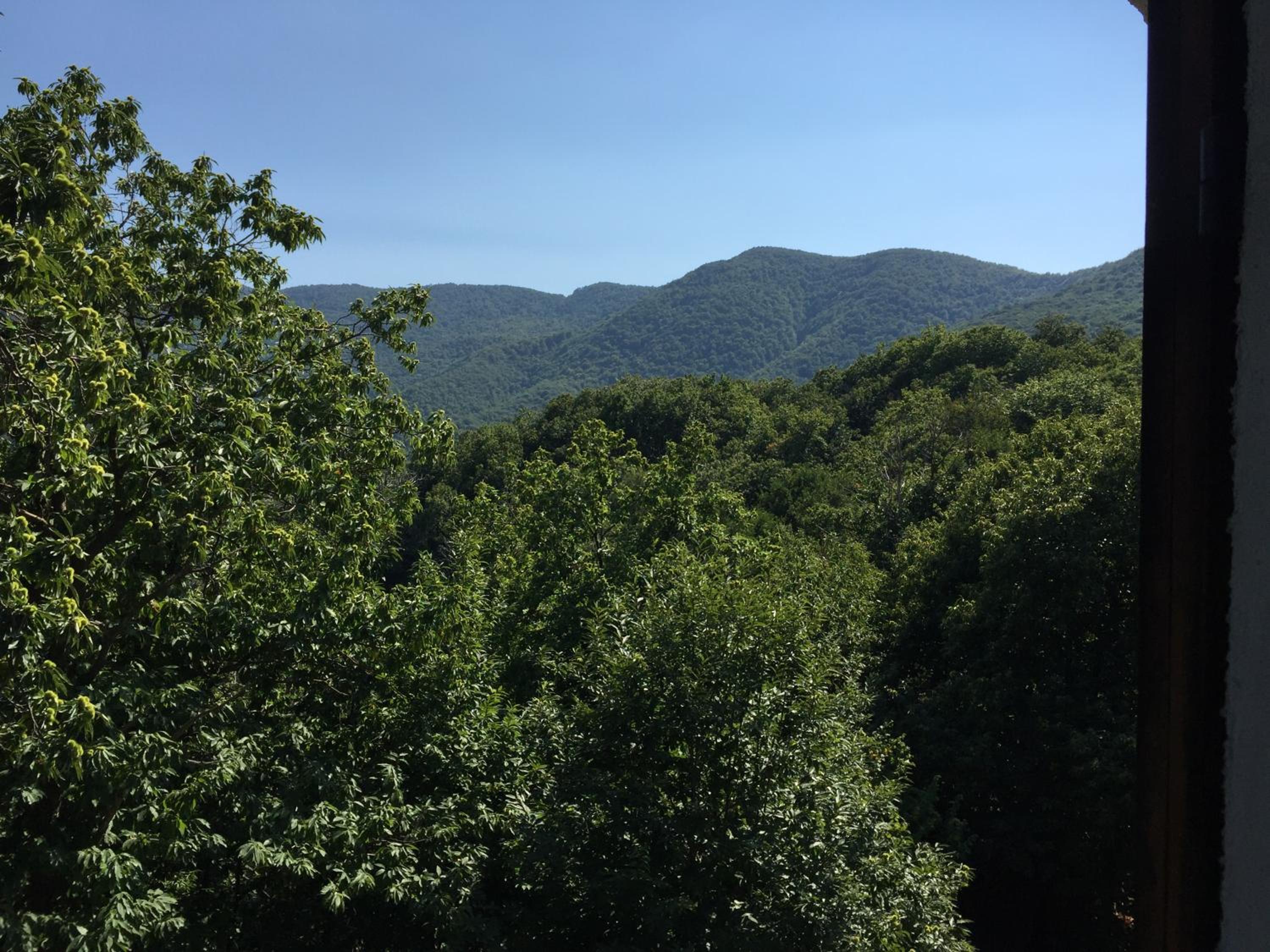 Vacation Home - Photo 31