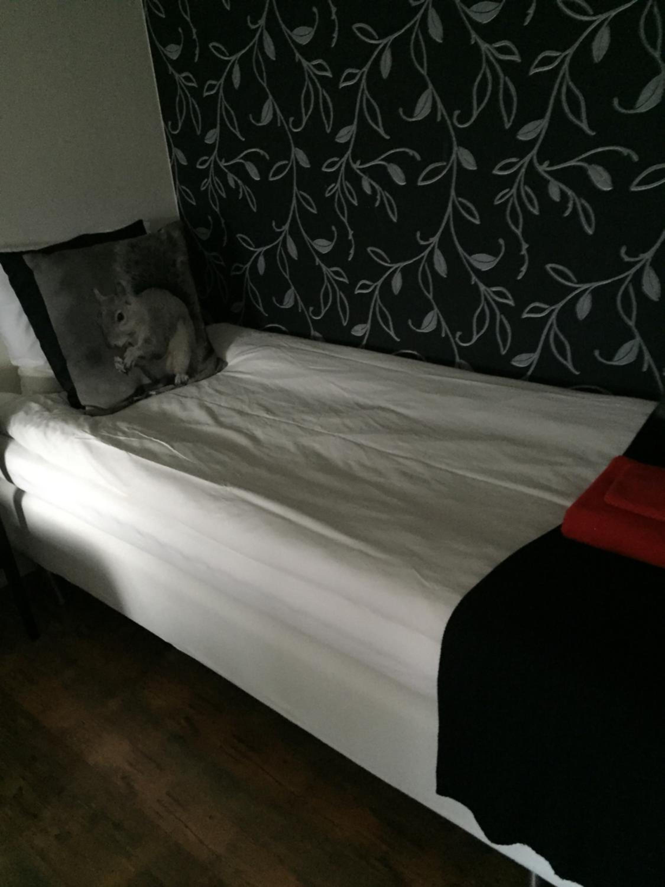Single Room with Private Bathroom photo 3