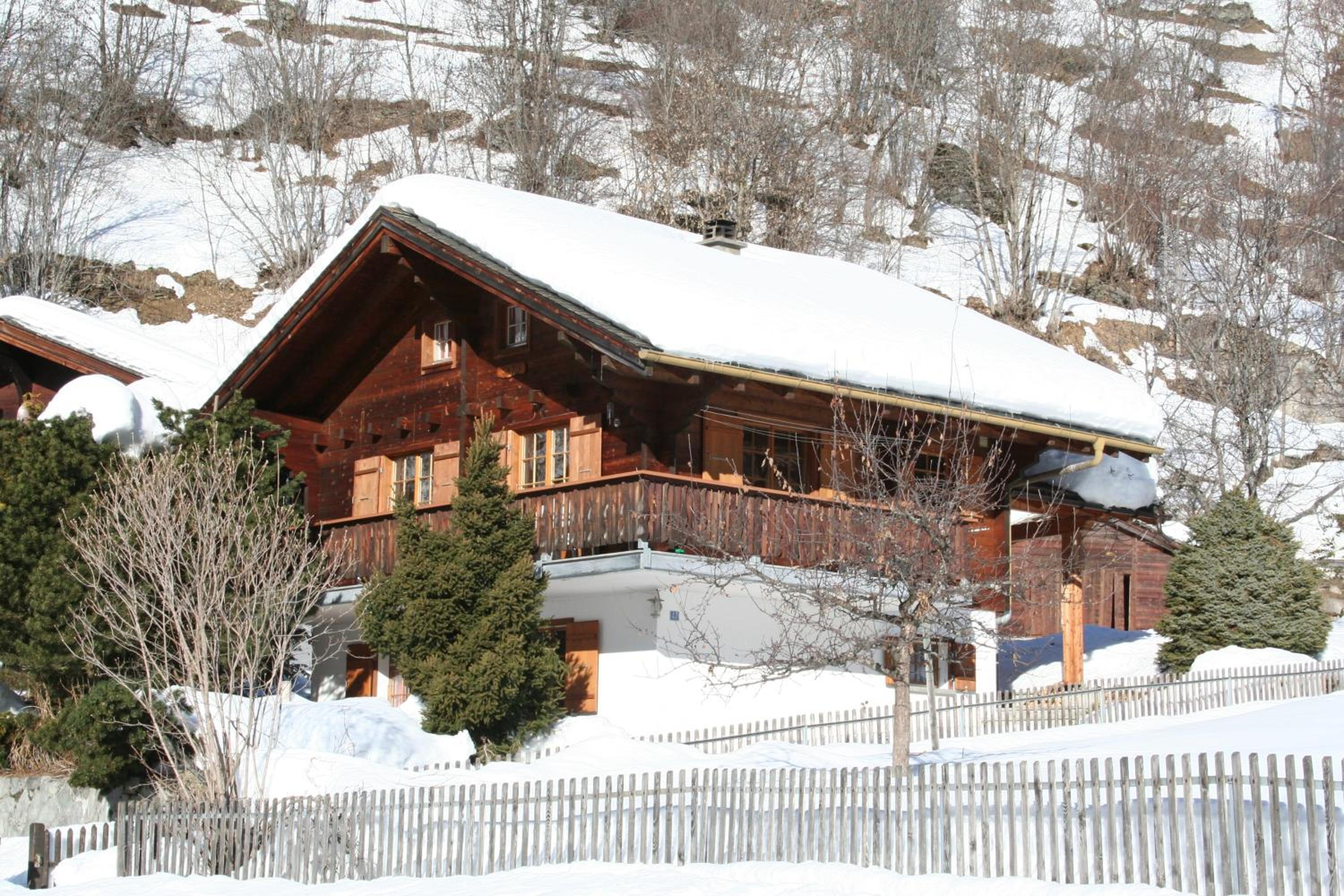 Three-Bedroom Chalet photo 3
