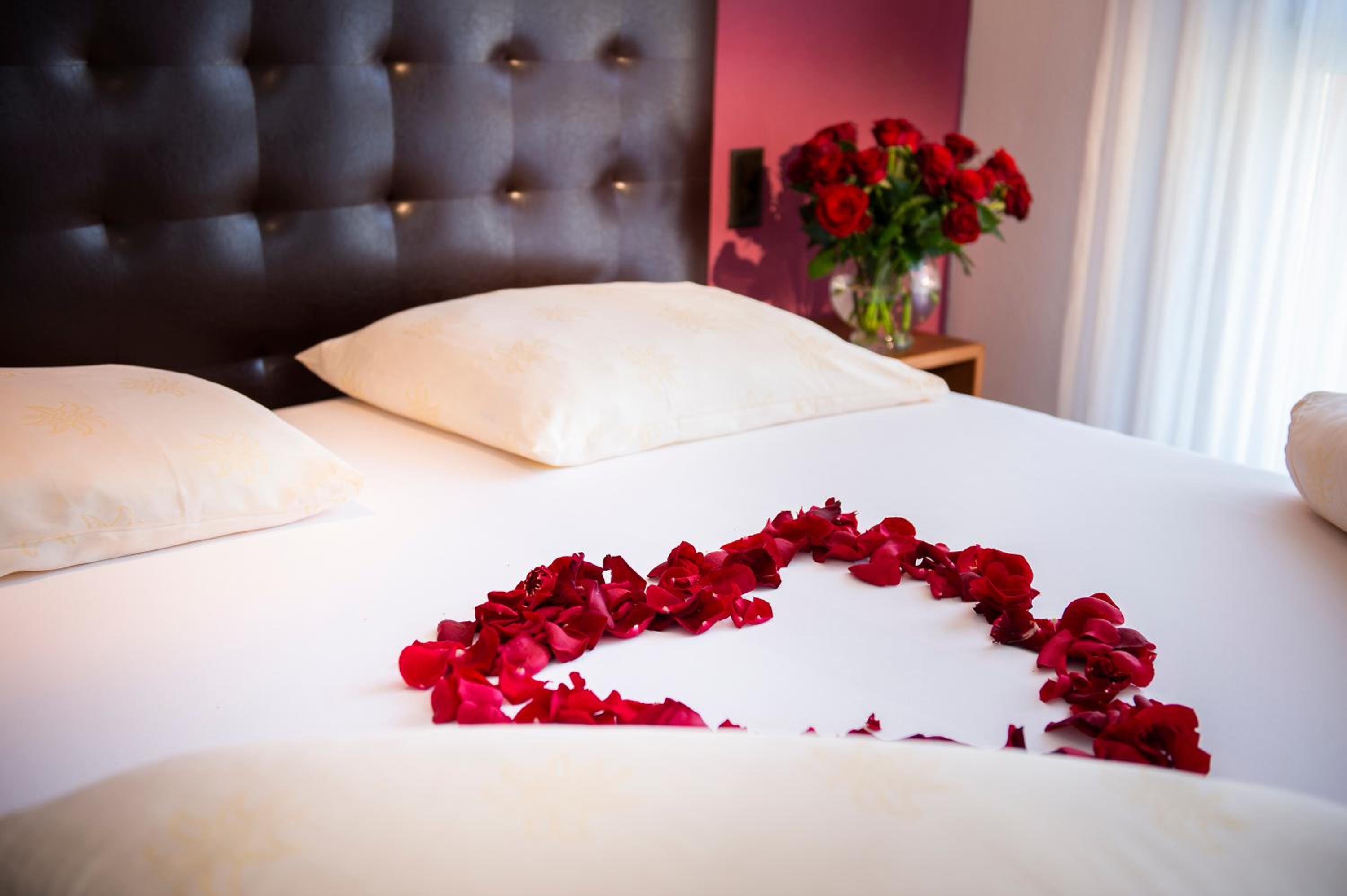 Junior Suite photo 3