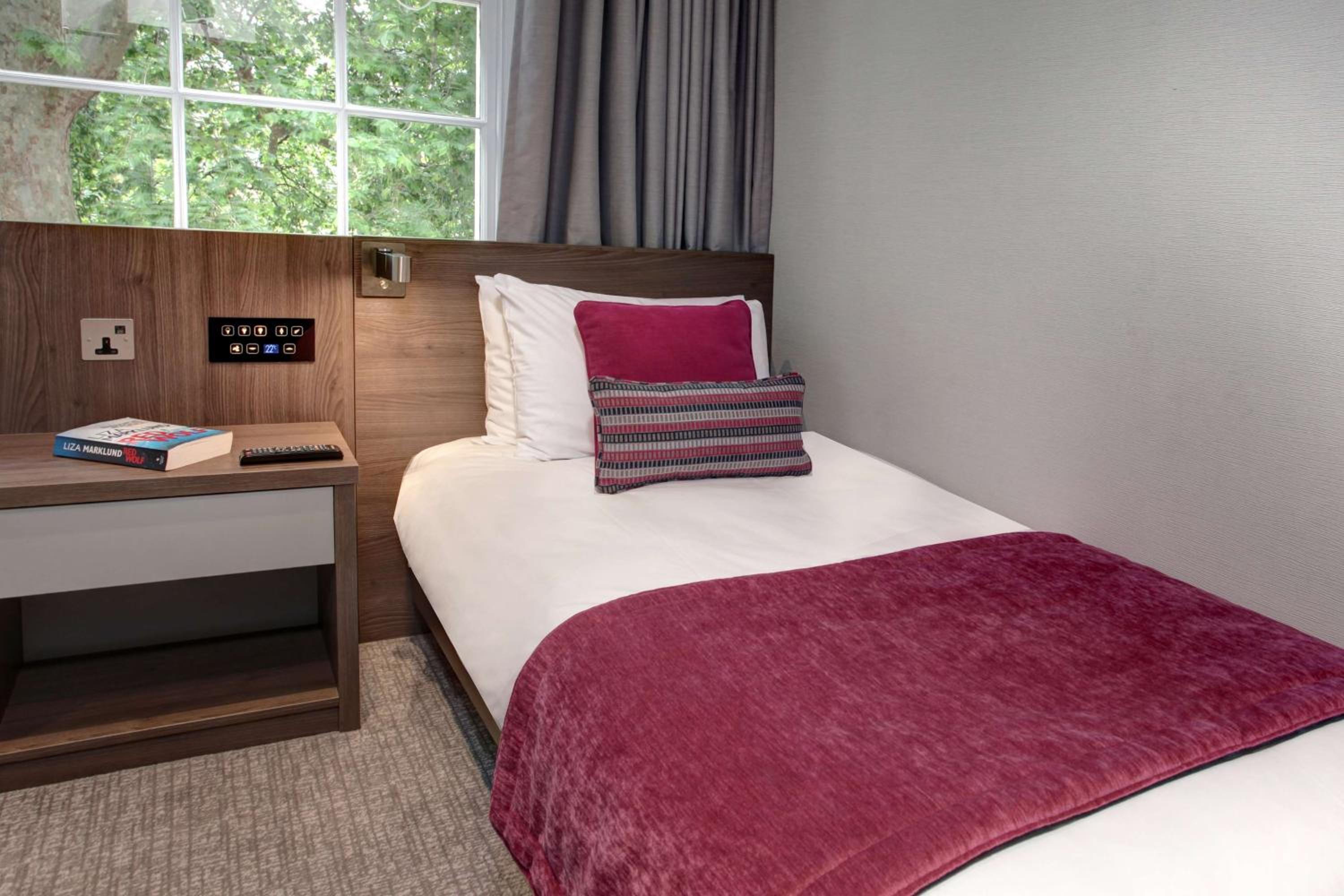 Cozy Single Room