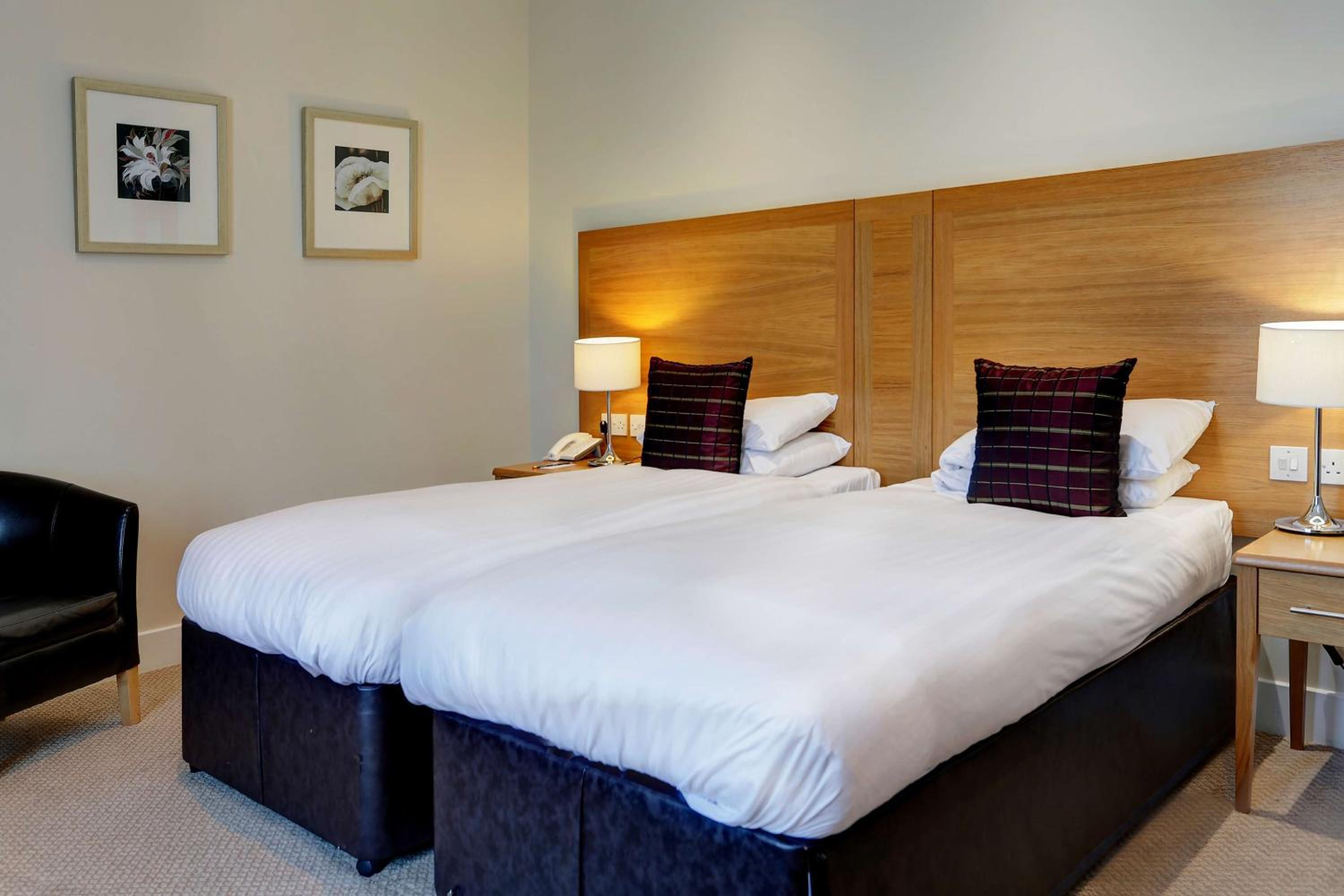 Deluxe Room - Photo 4