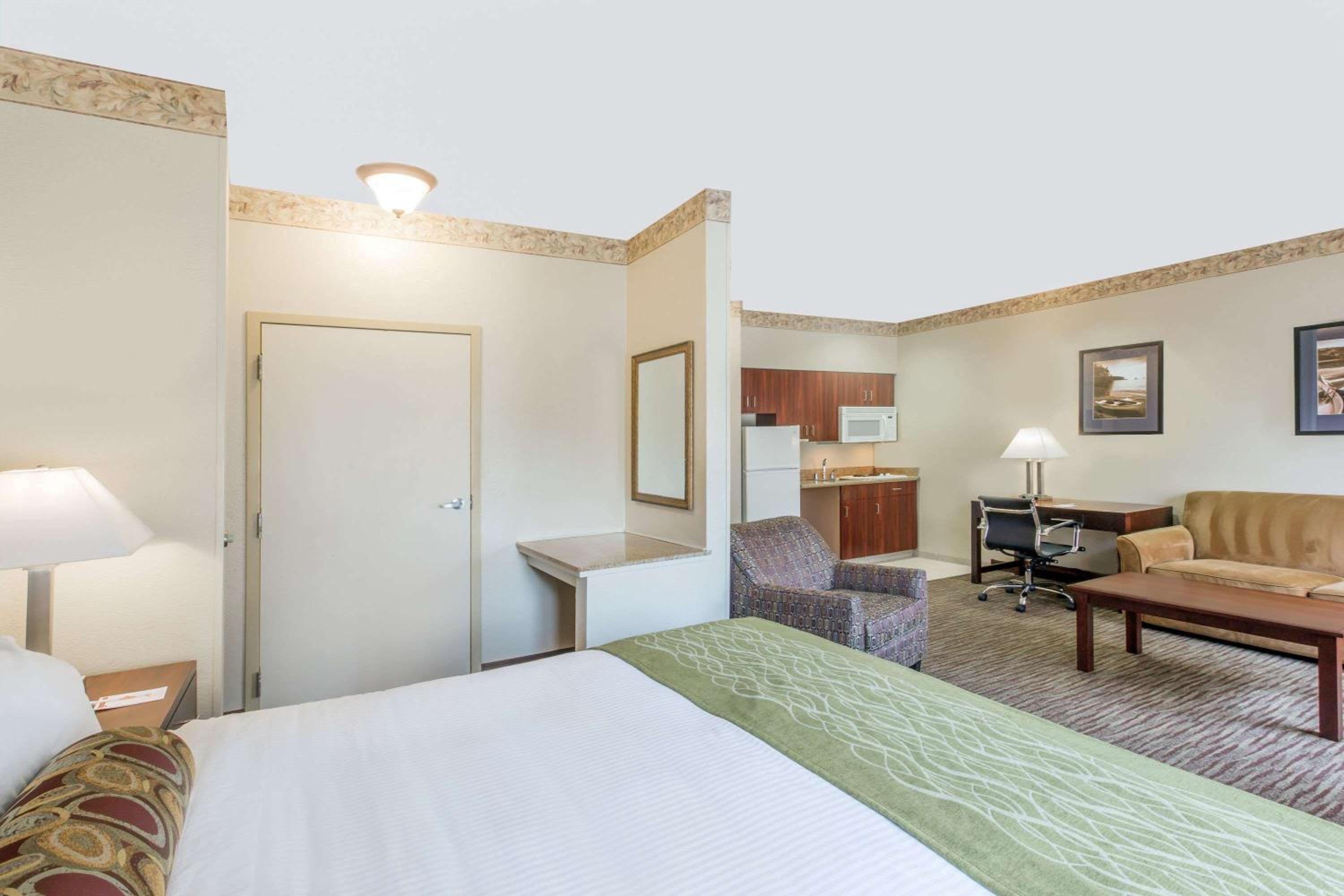 King Suite with Sofa Bed and Kitchen - Non-Smoking - Photo 1