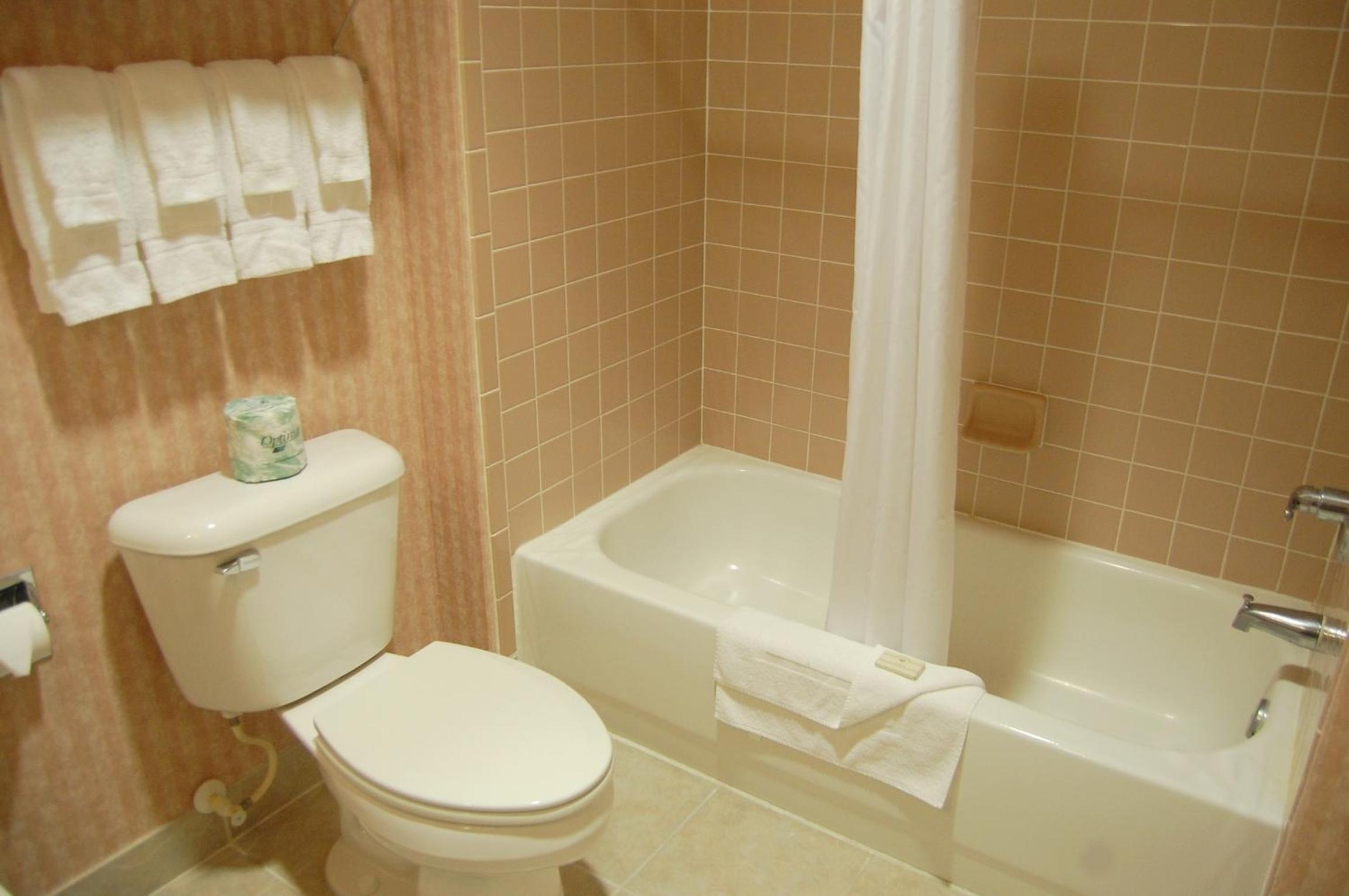 Queen Room photo 2