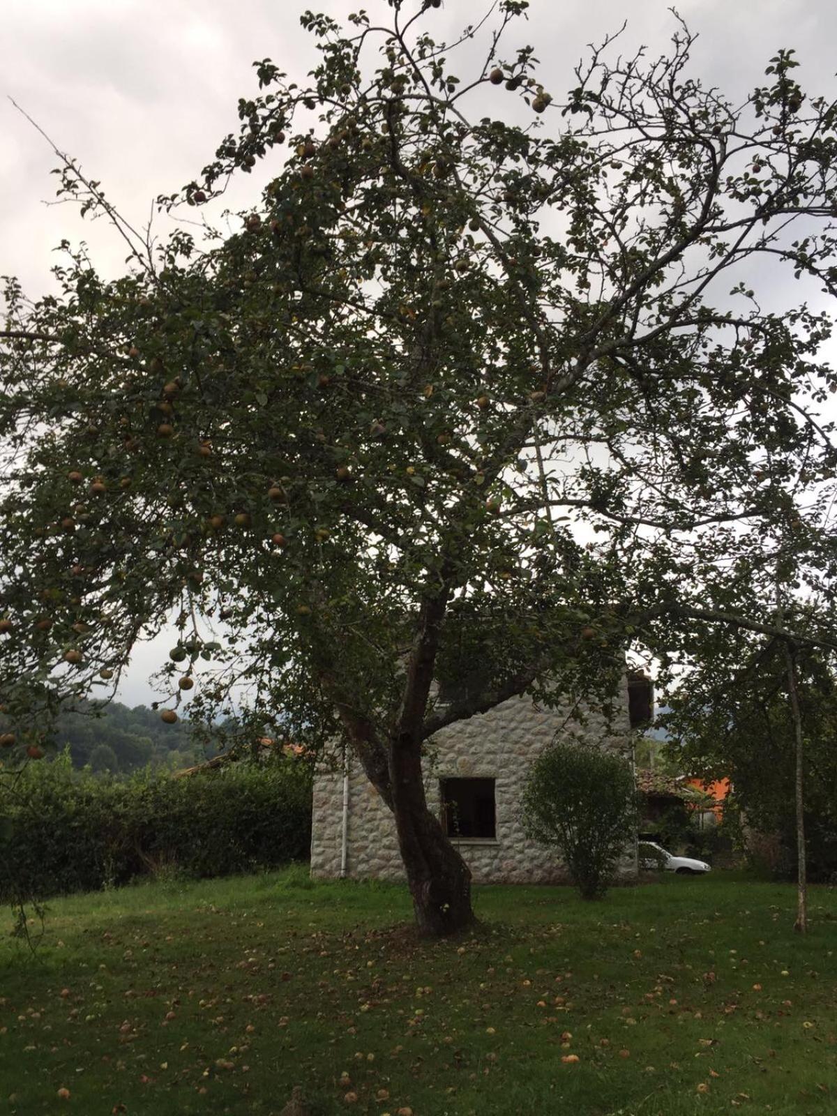 Vacation Home - Photo 62