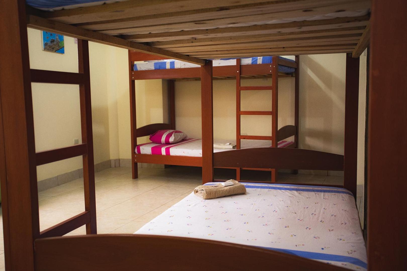 Bunk Bed in Mixed Dormitory Room photo 3