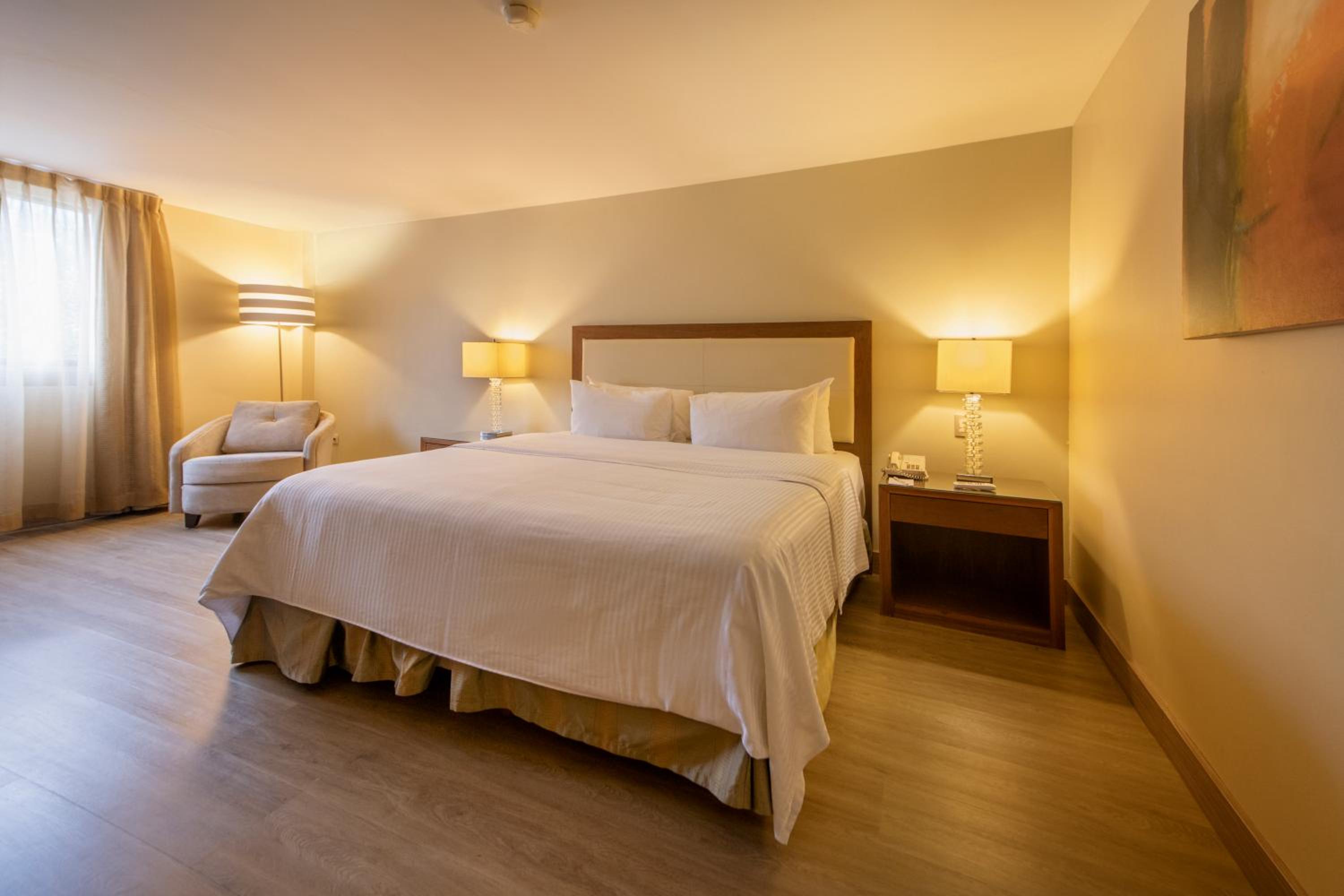Standard Suite King Bed - Photo 3