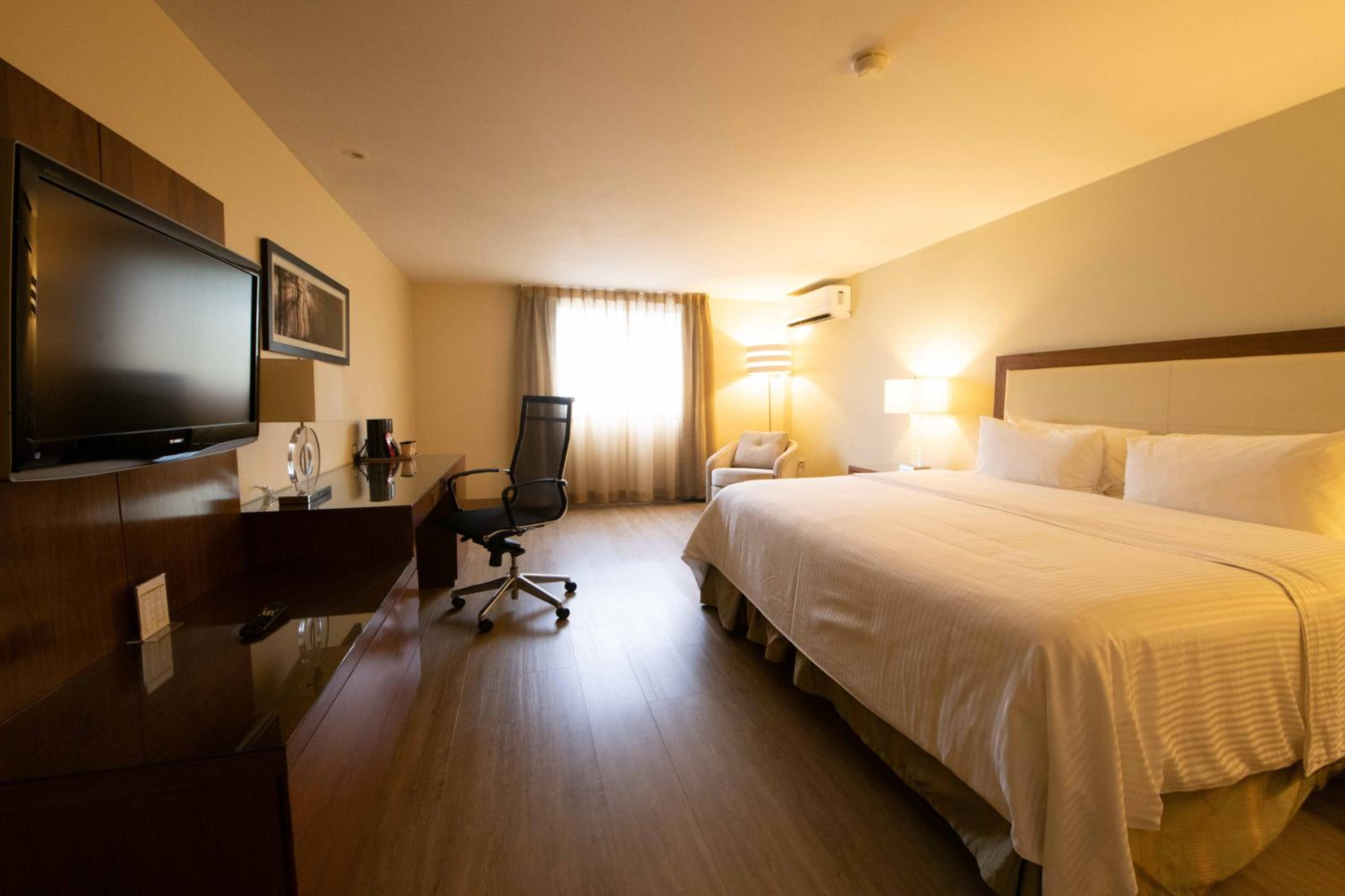 Standard Suite King Bed - Photo 4