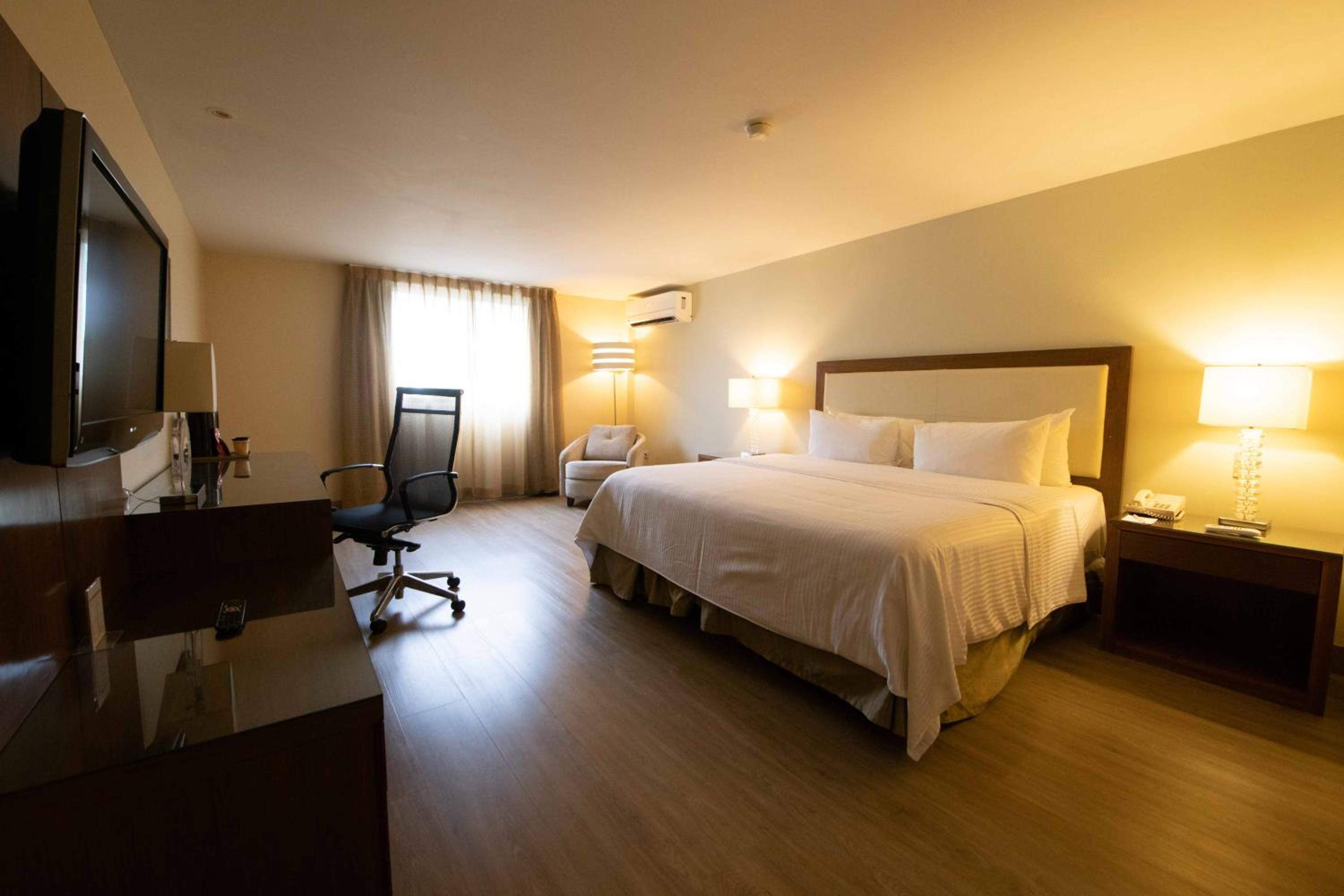 Standard Suite King Bed - Photo 6