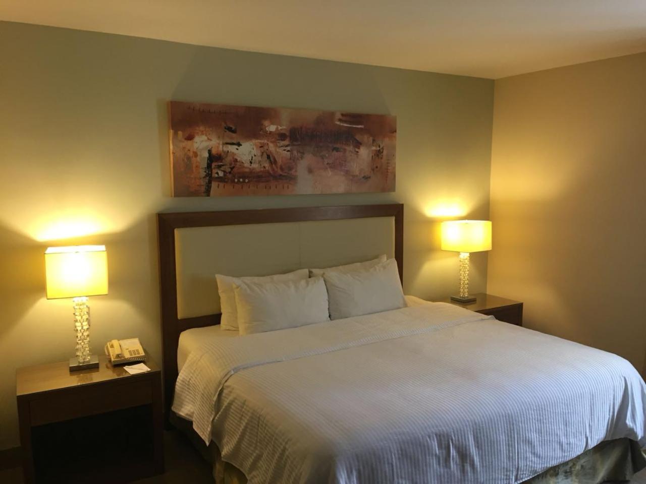 Superior King Room photo 3