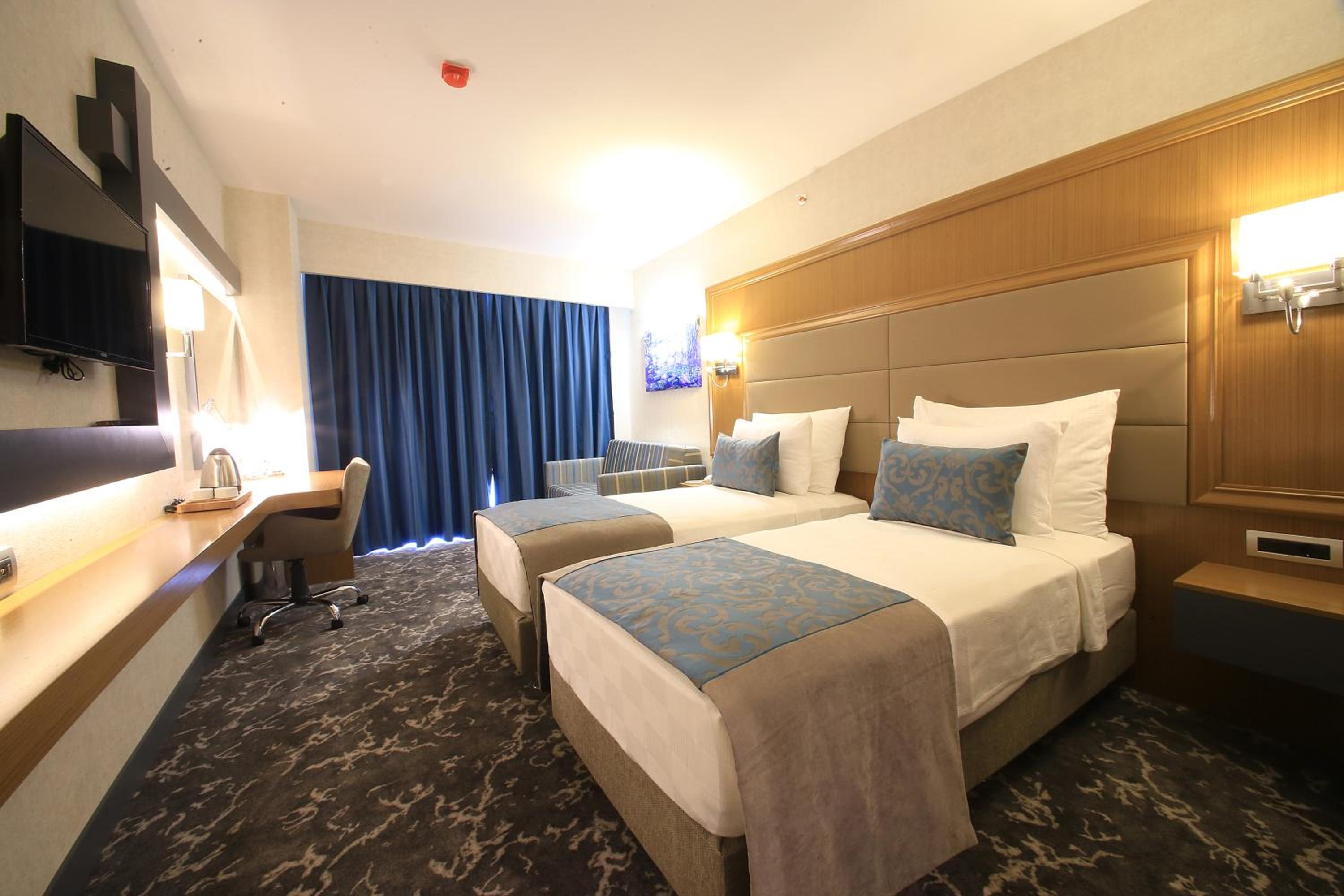 Deluxe Double or Twin Room photo 1