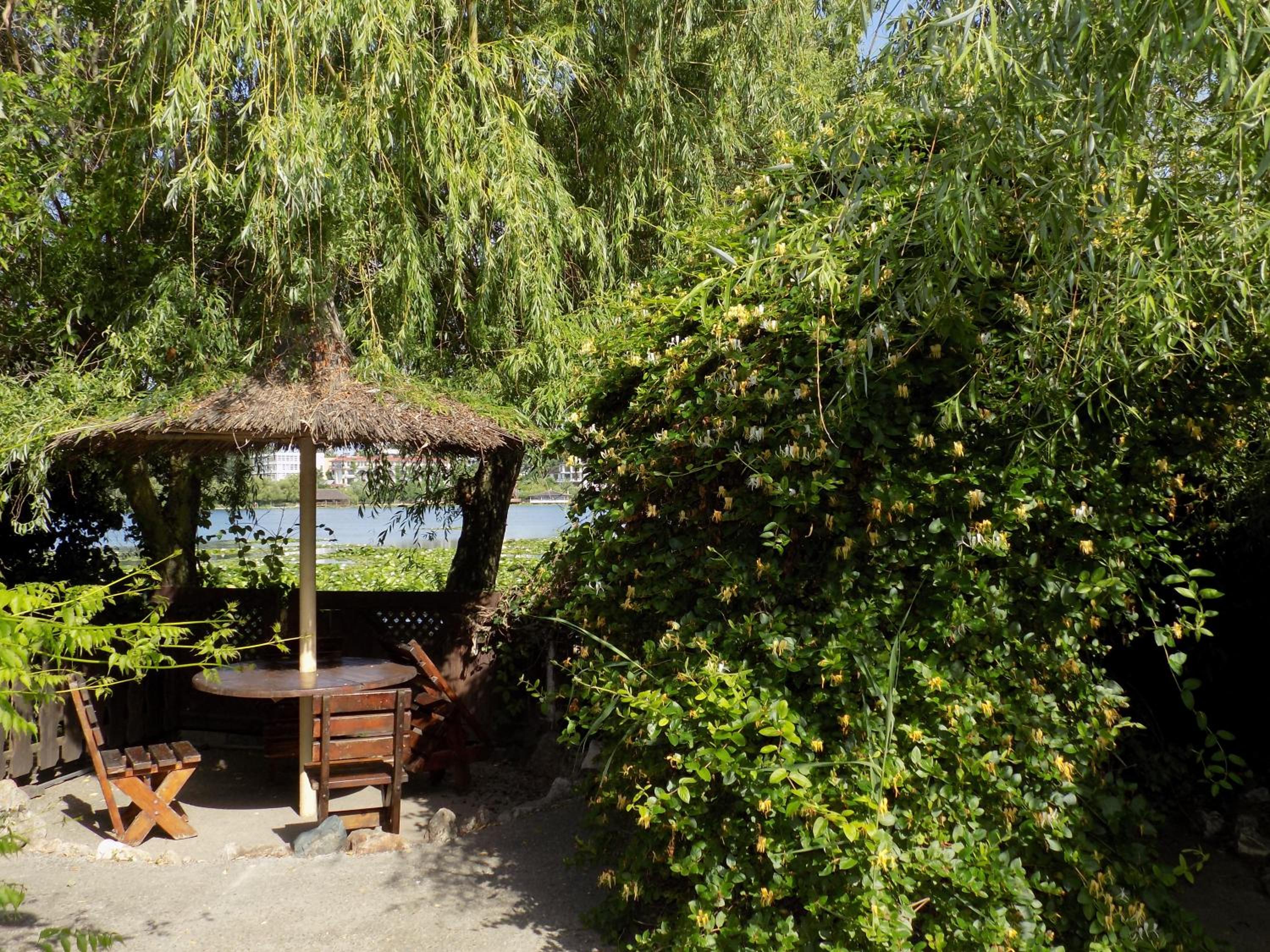 Twin Room with Garden View photo 1