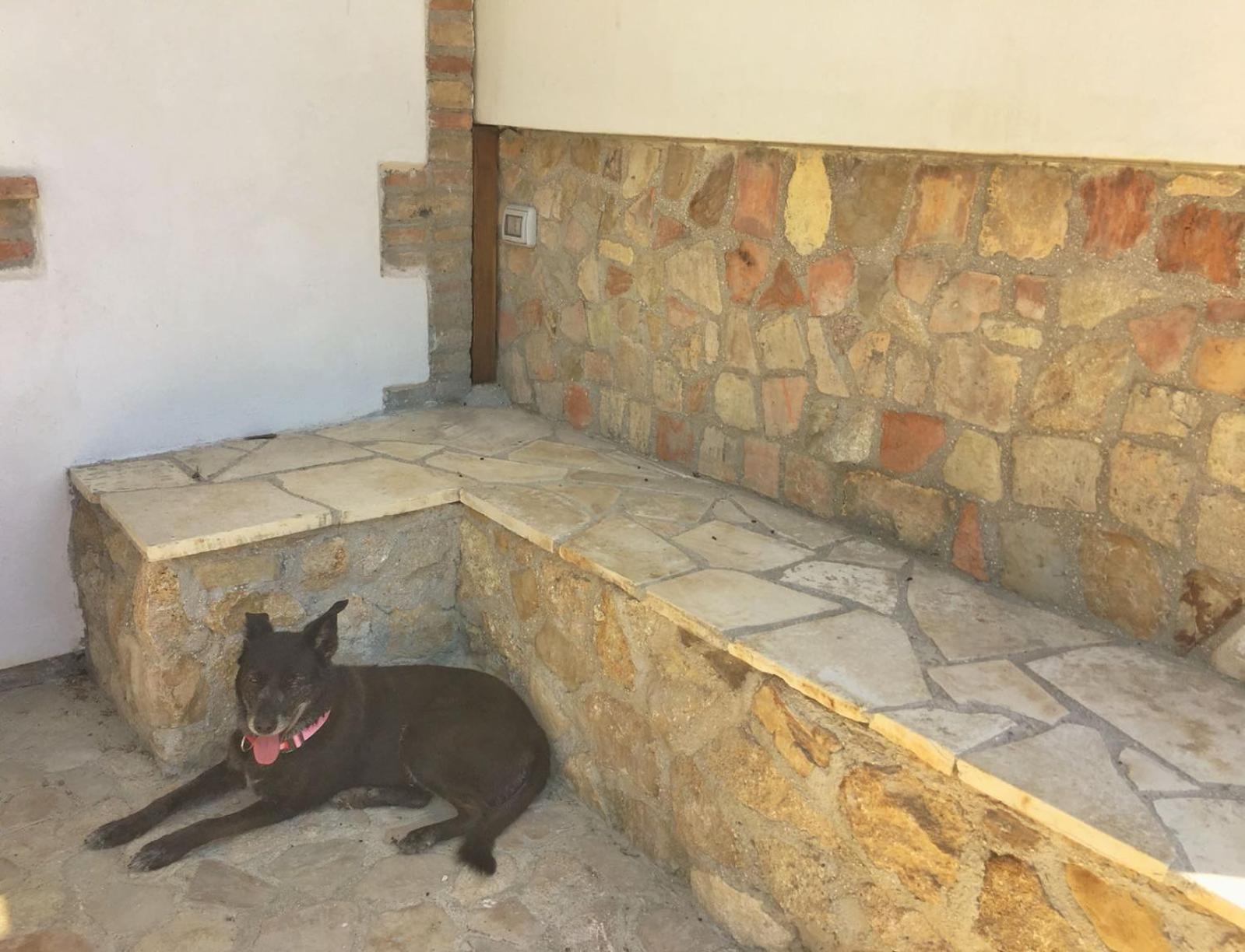 Apartment with Garden View photo 3