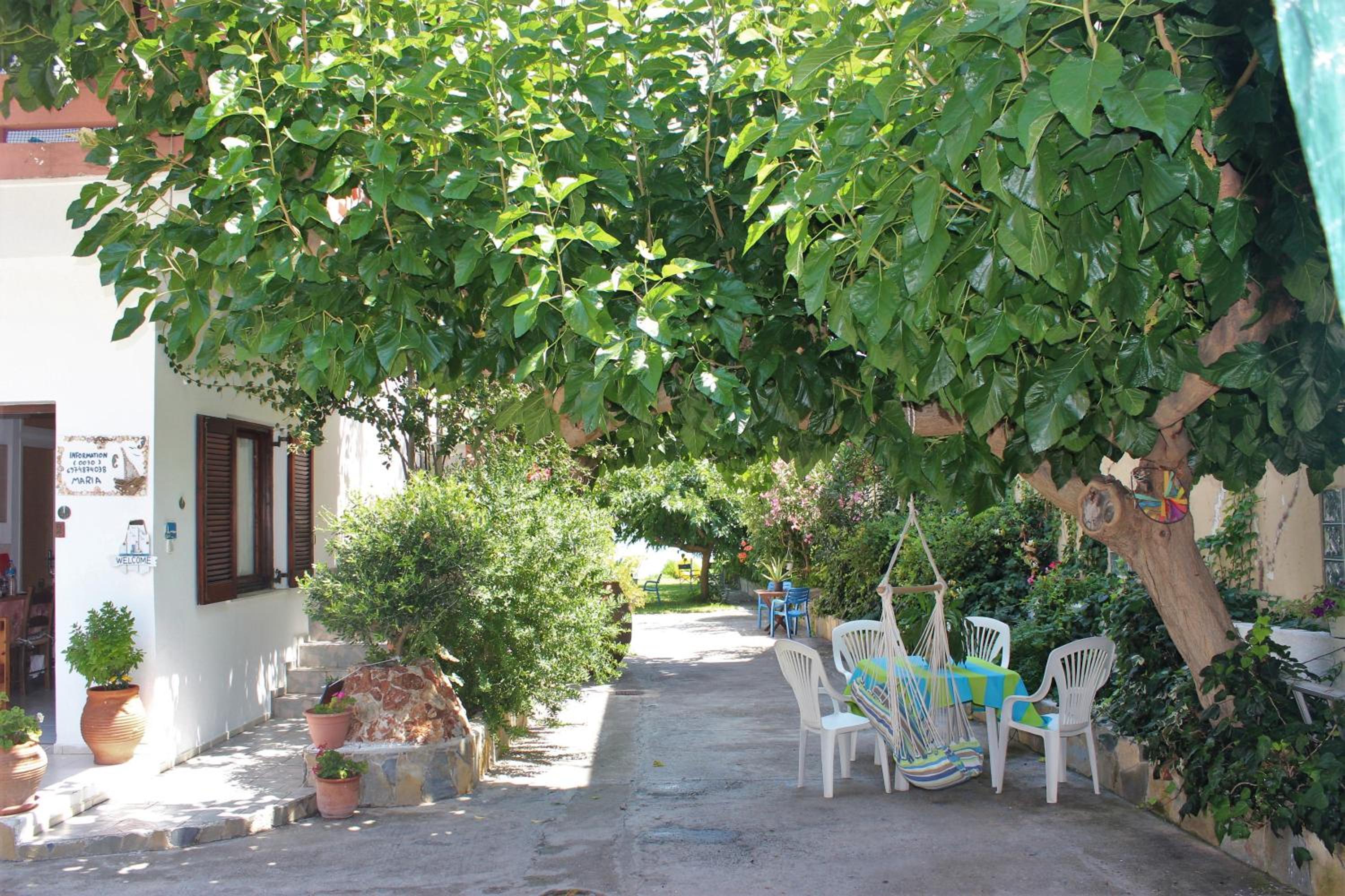 Apartment - Photo 9
