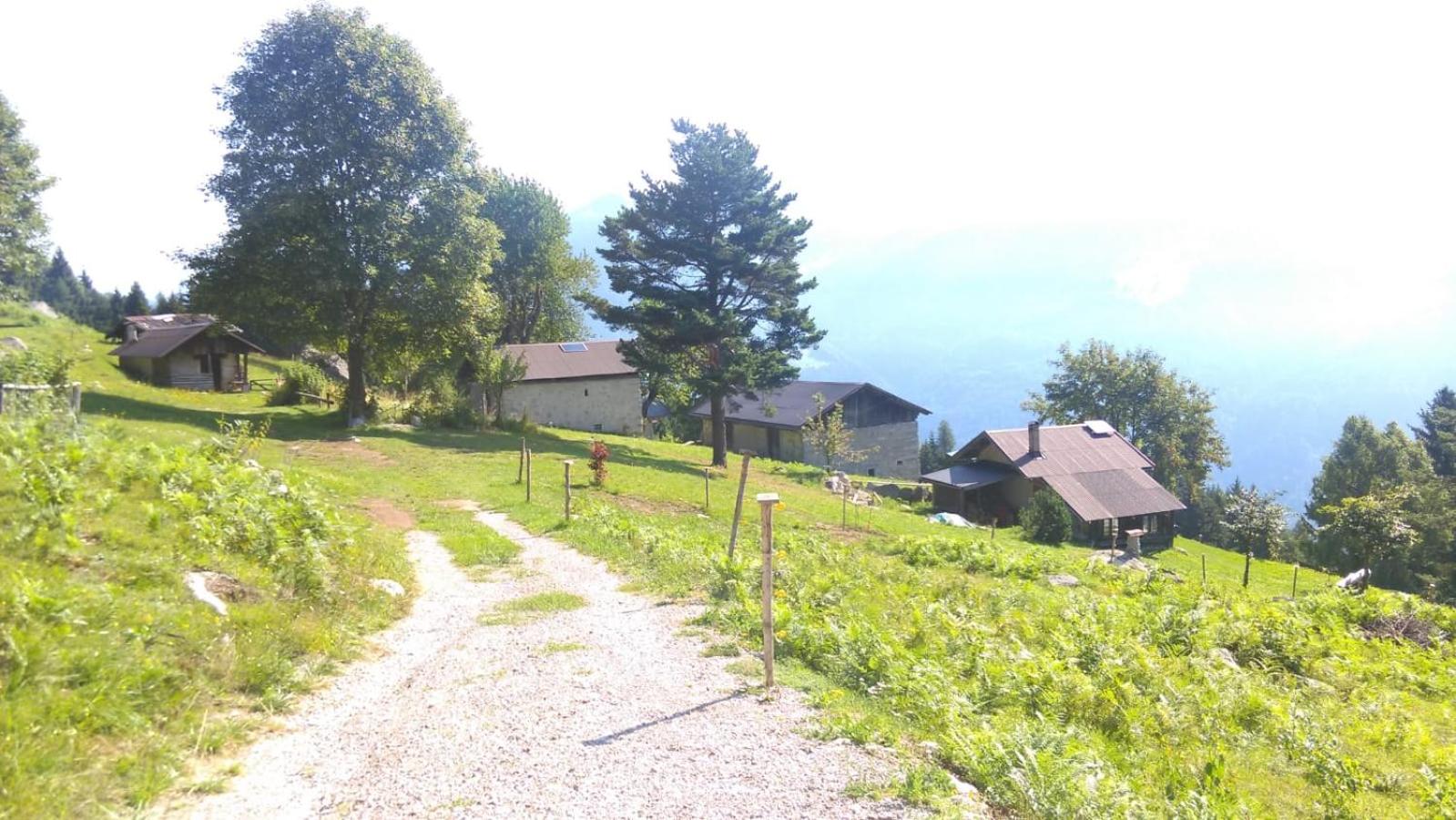 Chalet photo 3