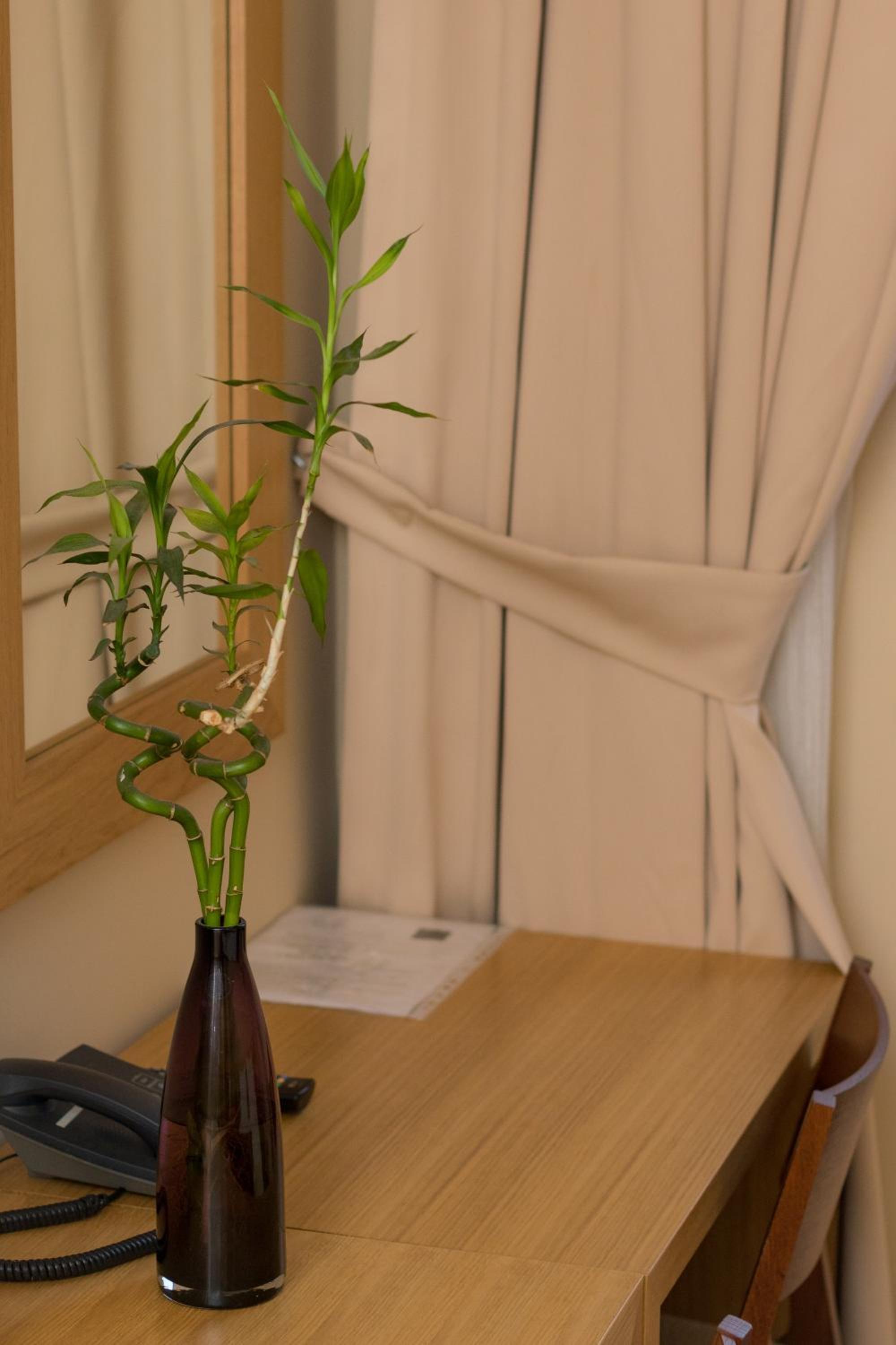Comfort Single Room photo 3