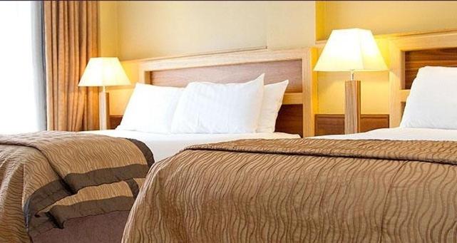 Deluxe Double Room photo 2