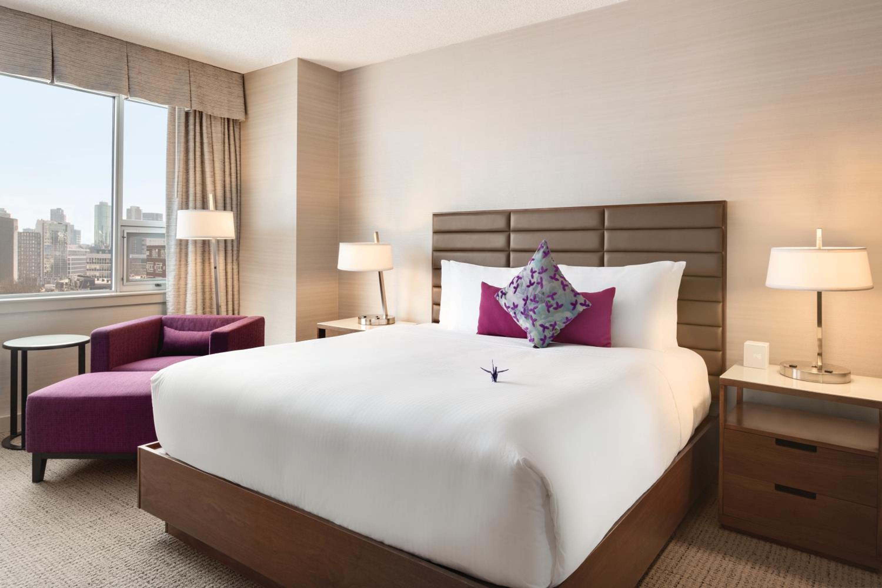 Coast Premium King Bed Suite
