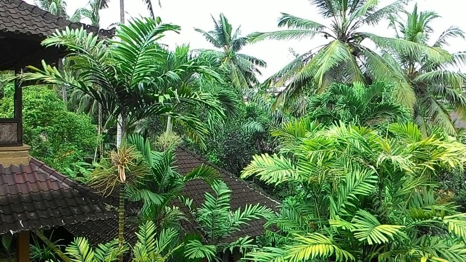 Double Room - Photo 16