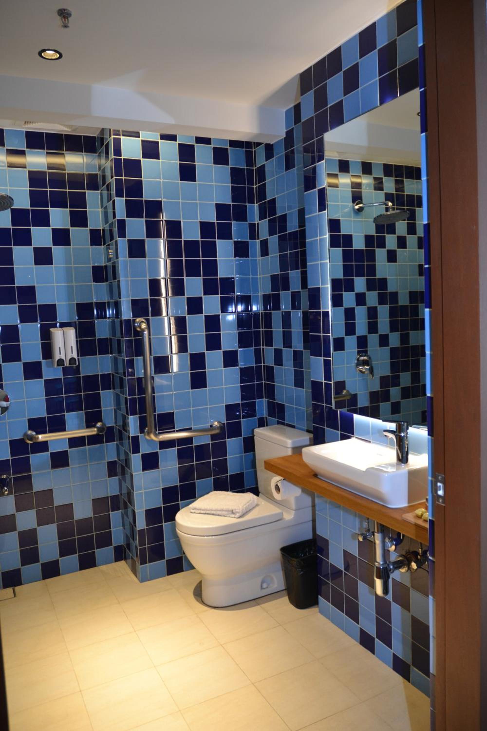 Deluxe PWD Room photo 3
